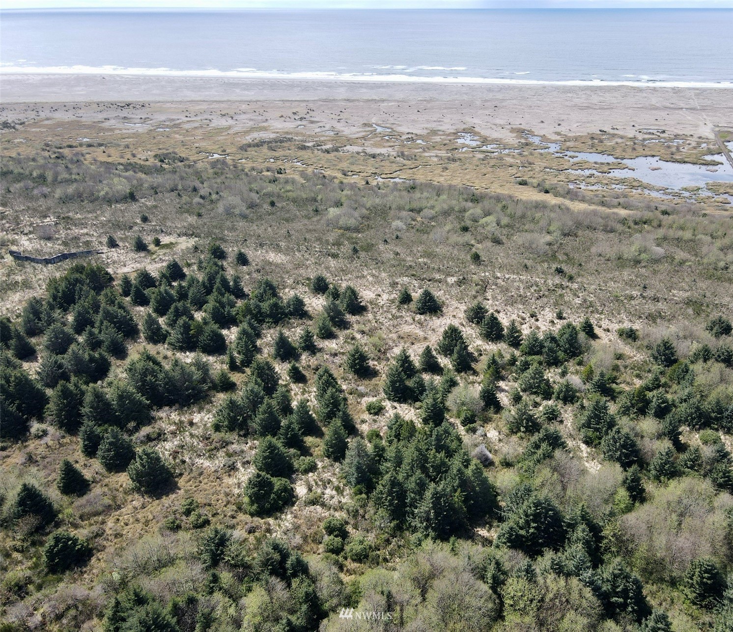 30 South State Route 105 Grayland, WA 98547 - Photo 12 of 27