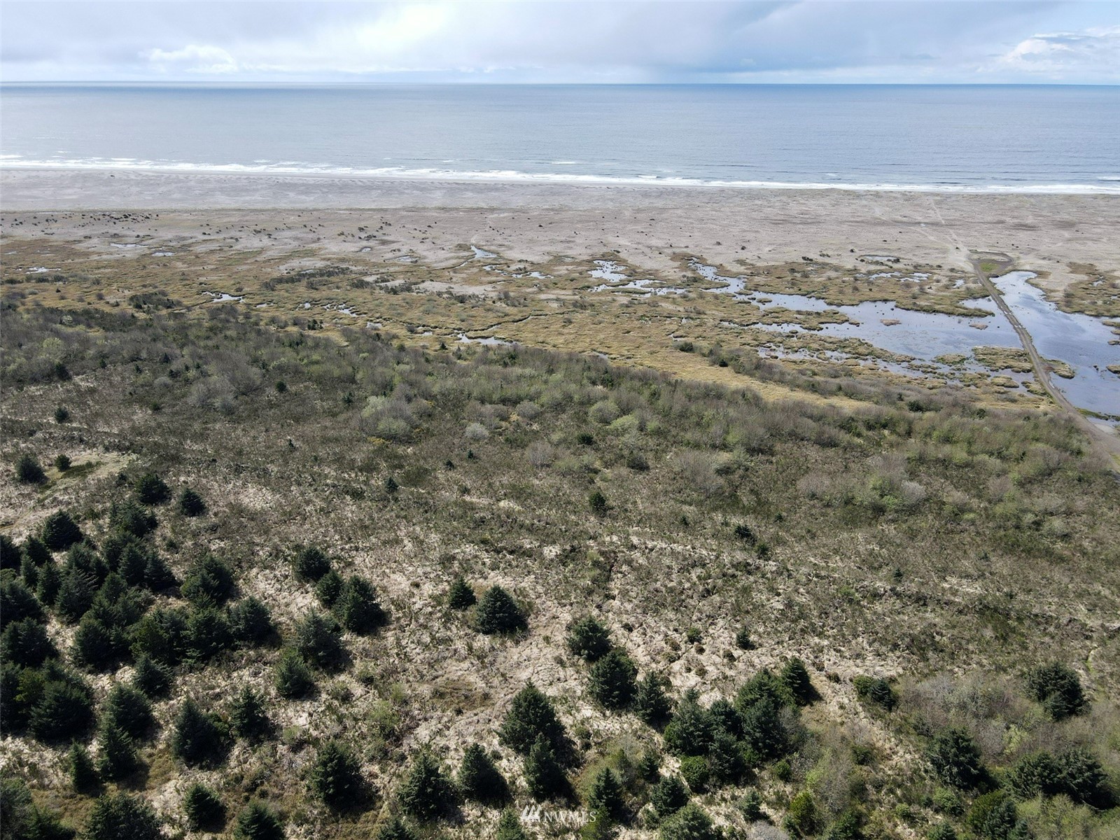 30 South State Route 105 Grayland, WA 98547 - Photo 13 of 27