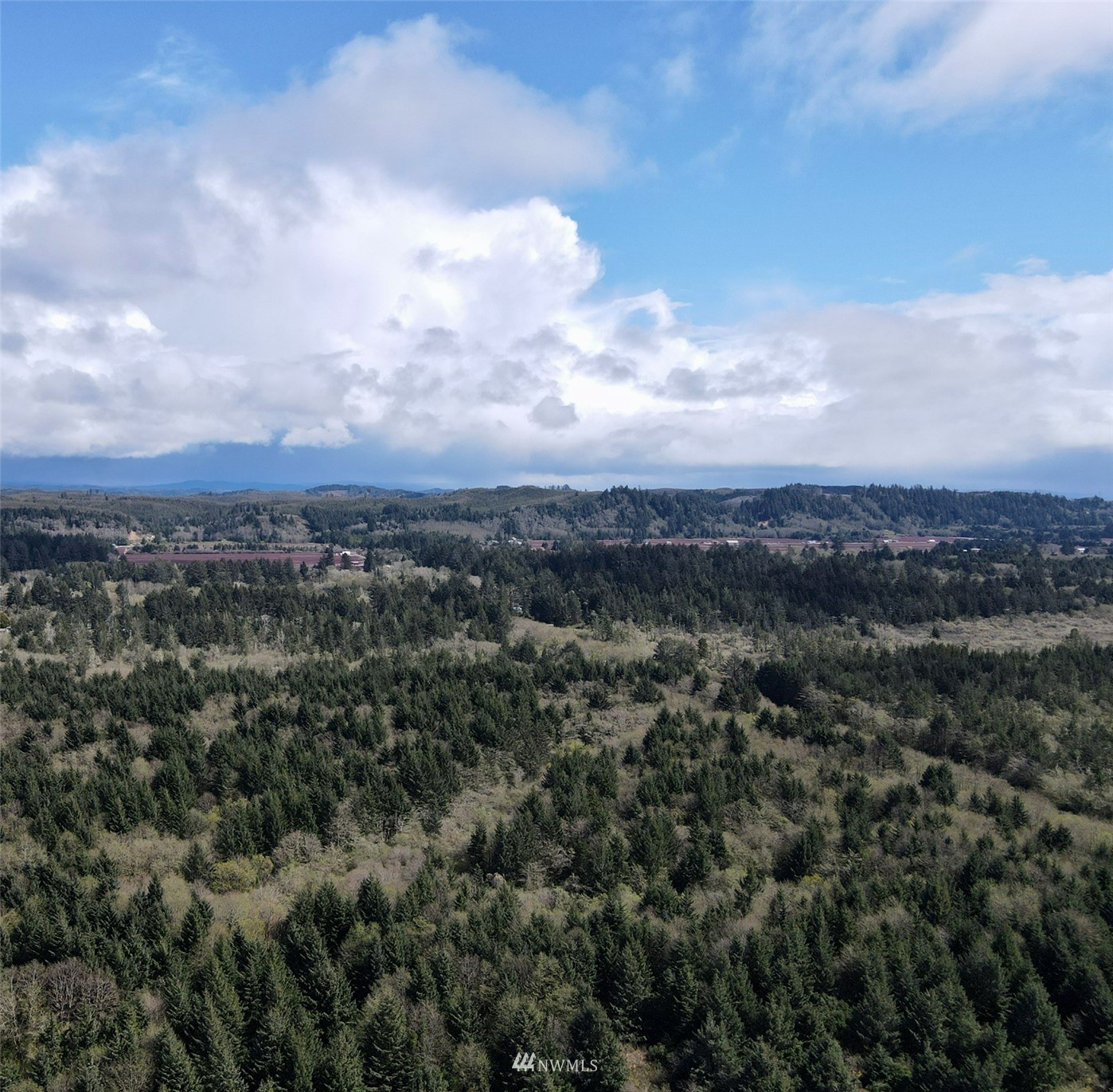 30 South State Route 105 Grayland, WA 98547 - Photo 14 of 27