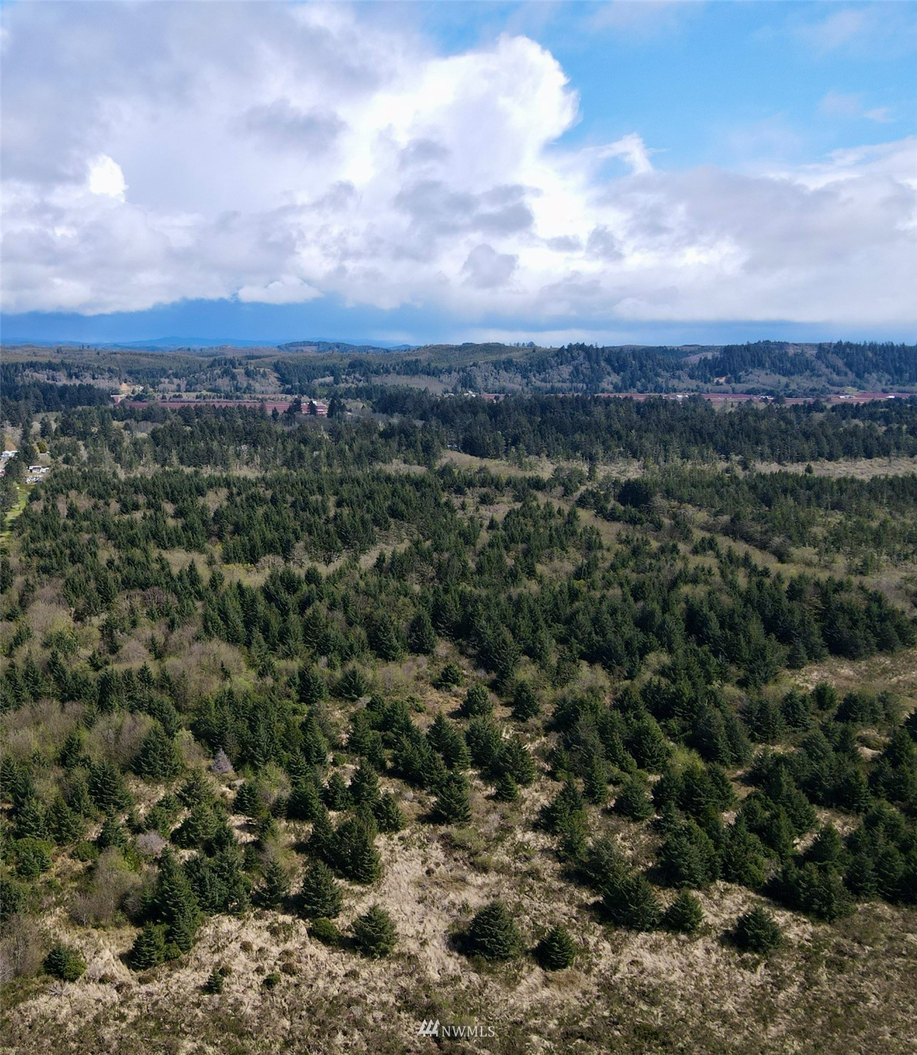 30 South State Route 105 Grayland, WA 98547 - Photo 15 of 27