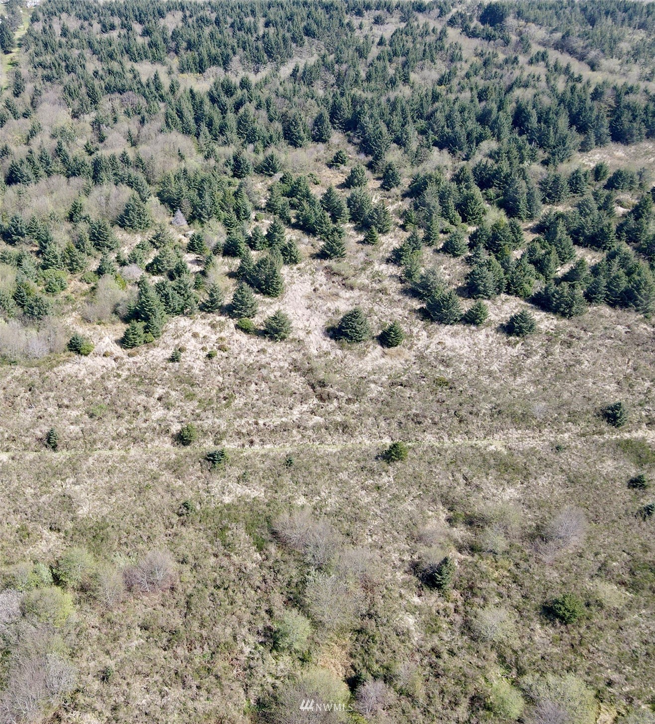 30 South State Route 105 Grayland, WA 98547 - Photo 18 of 27