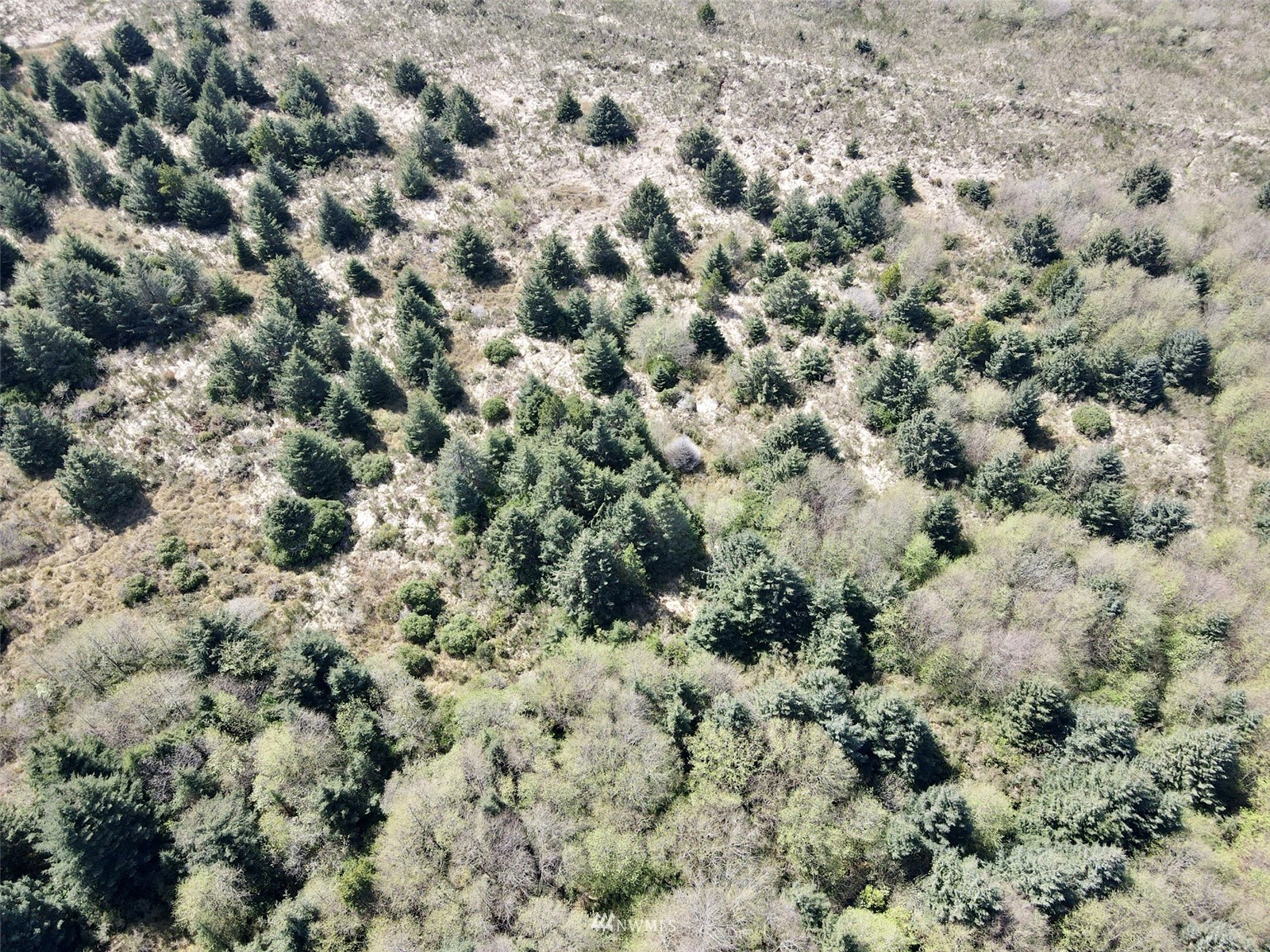 30 South State Route 105 Grayland, WA 98547 - Photo 19 of 27