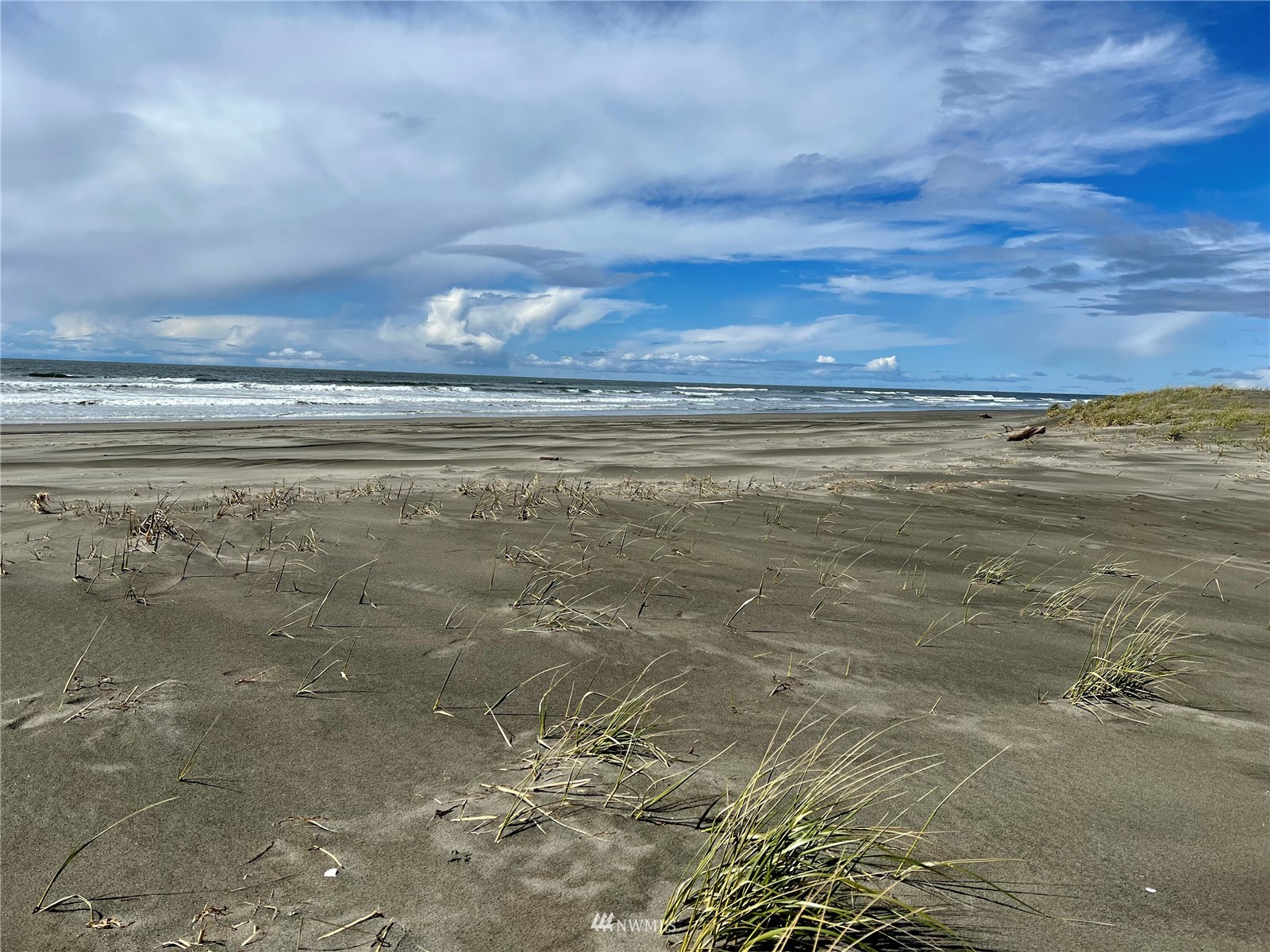 30 South State Route 105 Grayland, WA 98547 - Photo 2 of 27