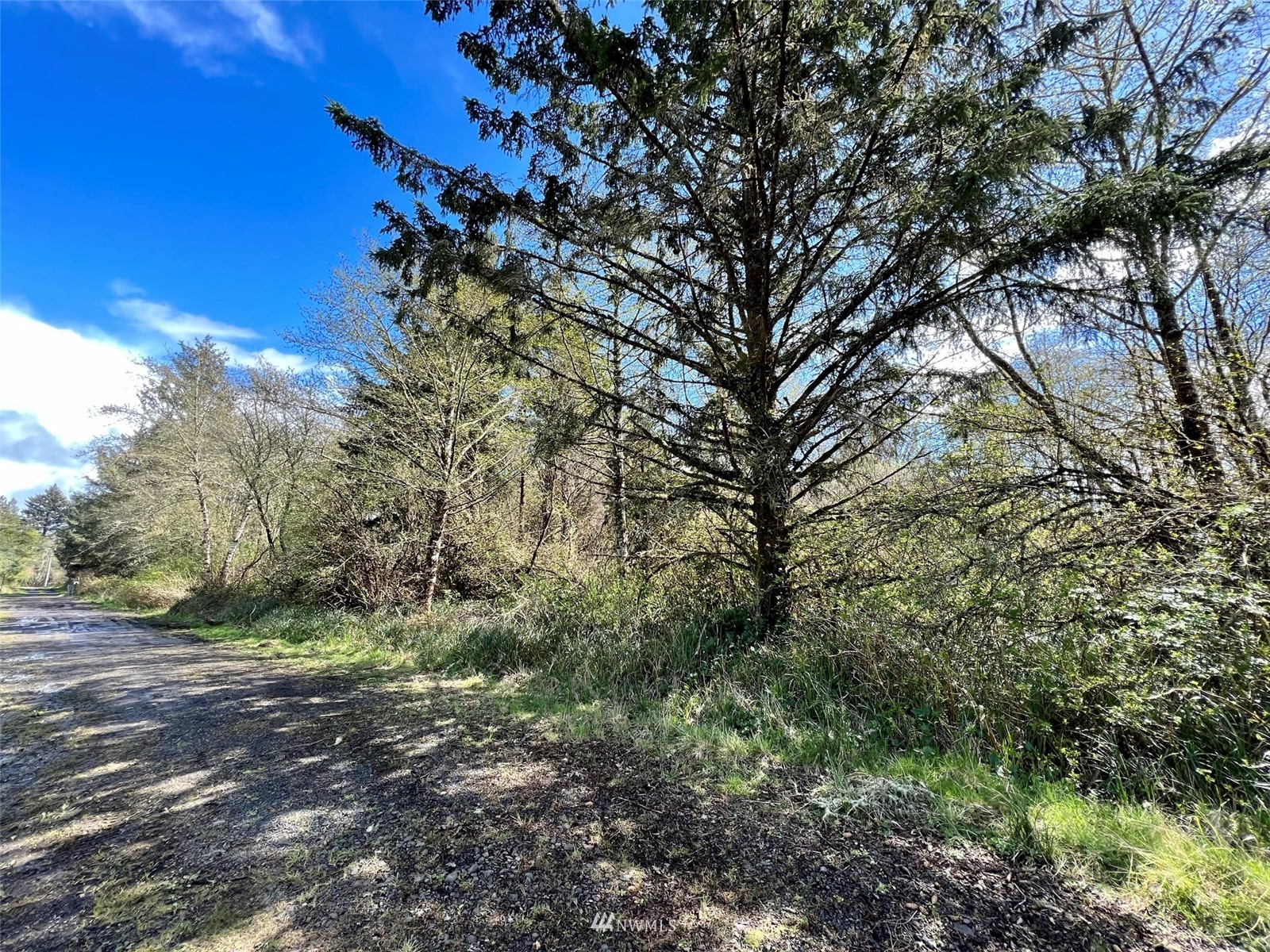 30 South State Route 105 Grayland, WA 98547 - Photo 24 of 27