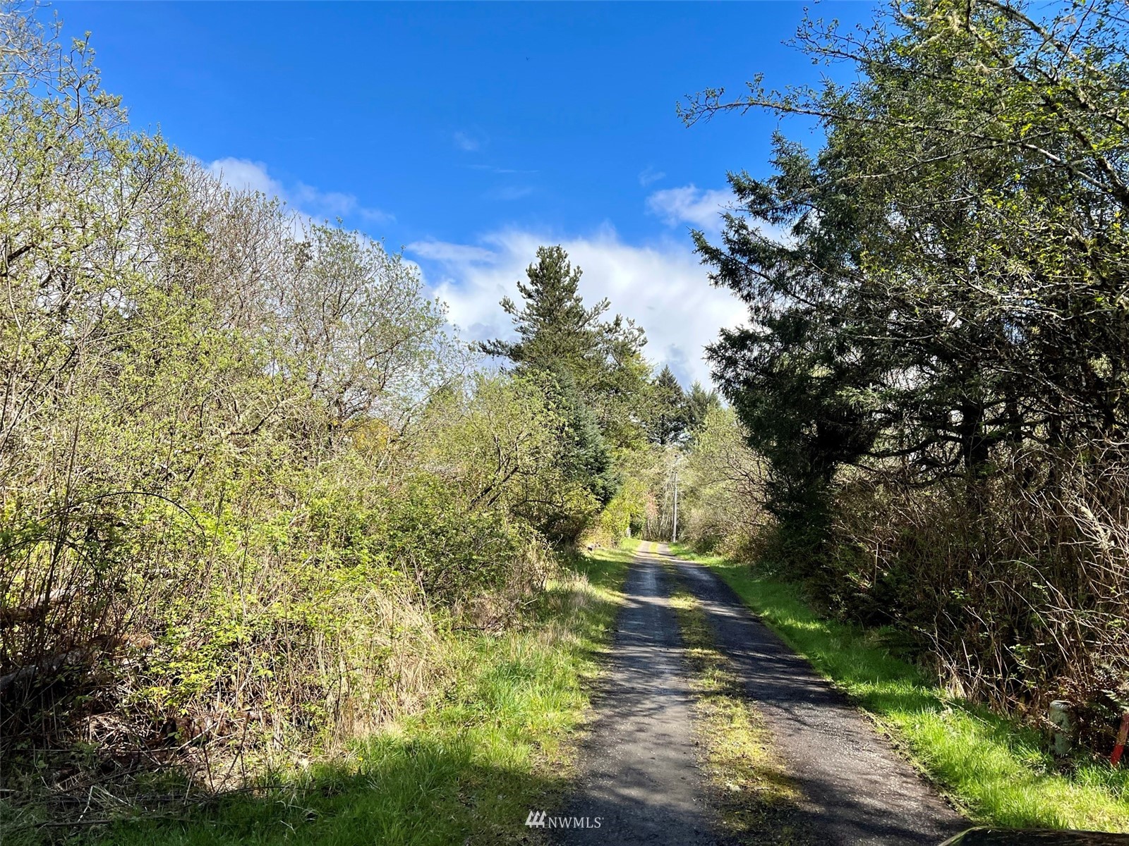 30 South State Route 105 Grayland, WA 98547 - Photo 25 of 27