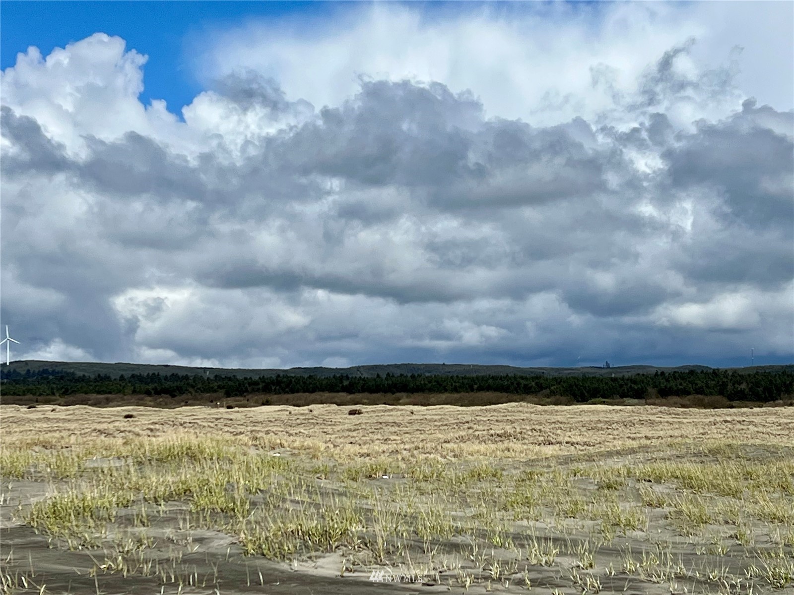 30 South State Route 105 Grayland, WA 98547 - Photo 26 of 27