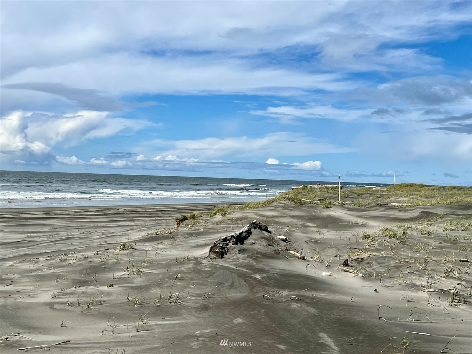 30 South State Route 105 Grayland, WA 98547 - Photo 27 of 27