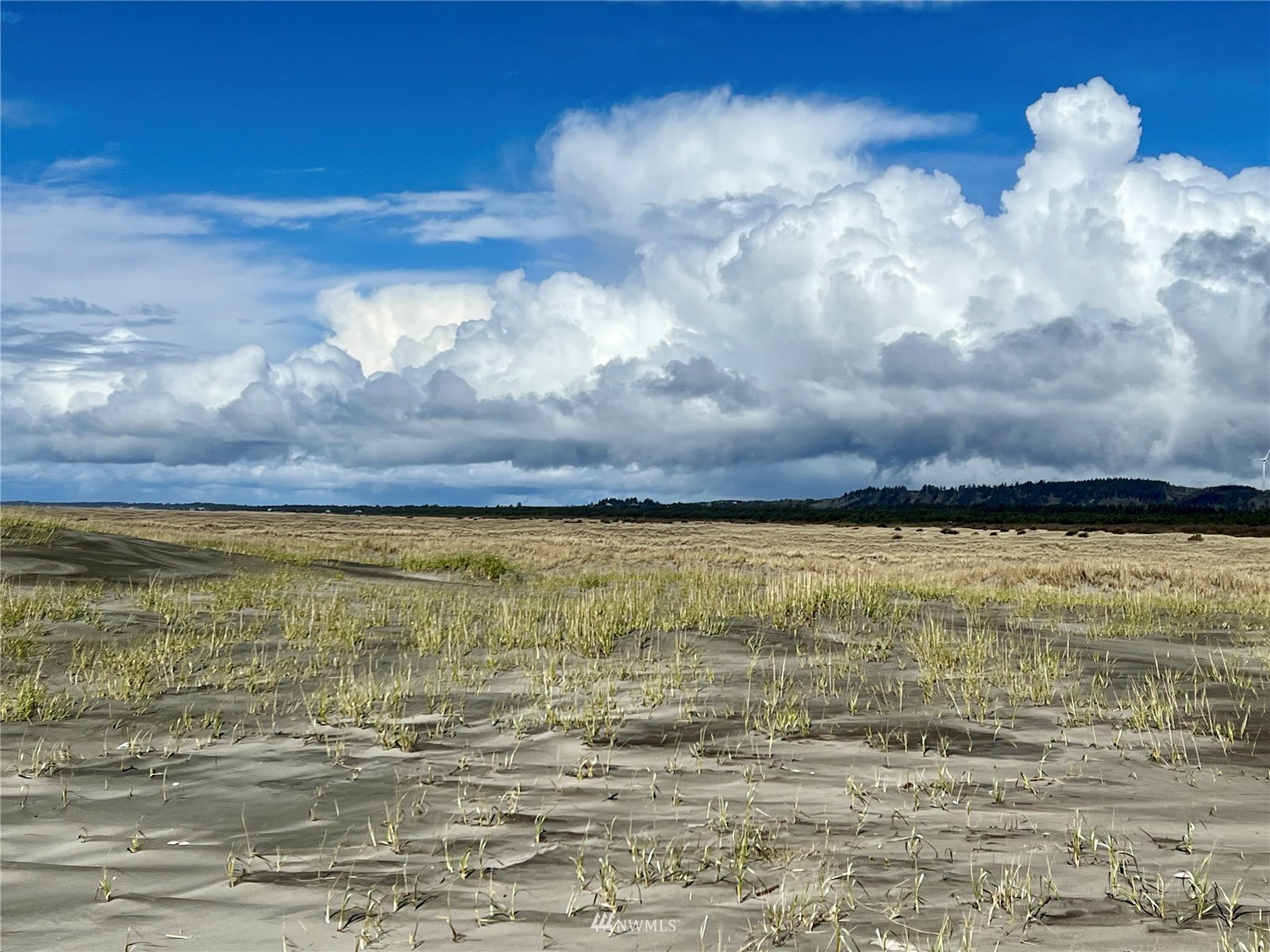30 South State Route 105 Grayland, WA 98547 - Photo 3 of 27