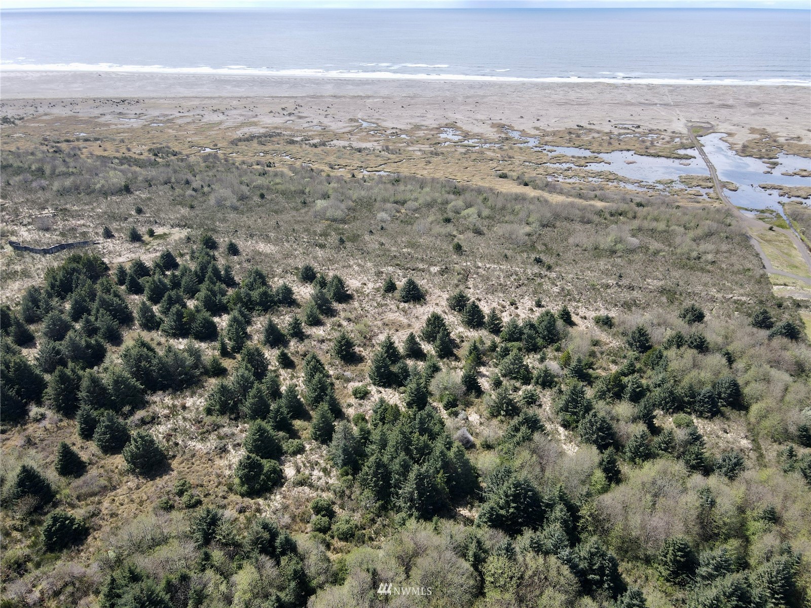 30 South State Route 105 Grayland, WA 98547 - Photo 4 of 27