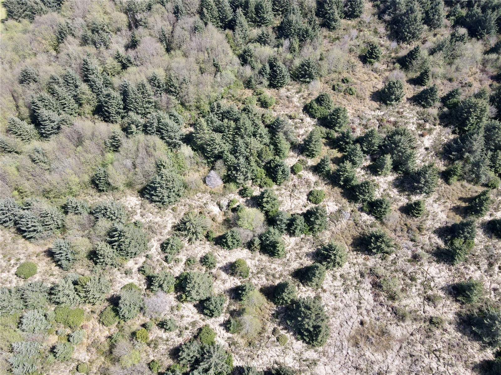 30 South State Route 105 Grayland, WA 98547 - Photo 6 of 27