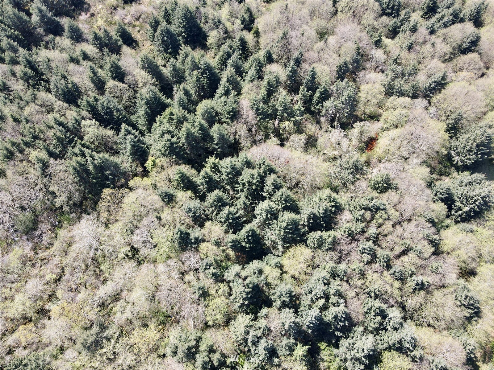 30 South State Route 105 Grayland, WA 98547 - Photo 8 of 27