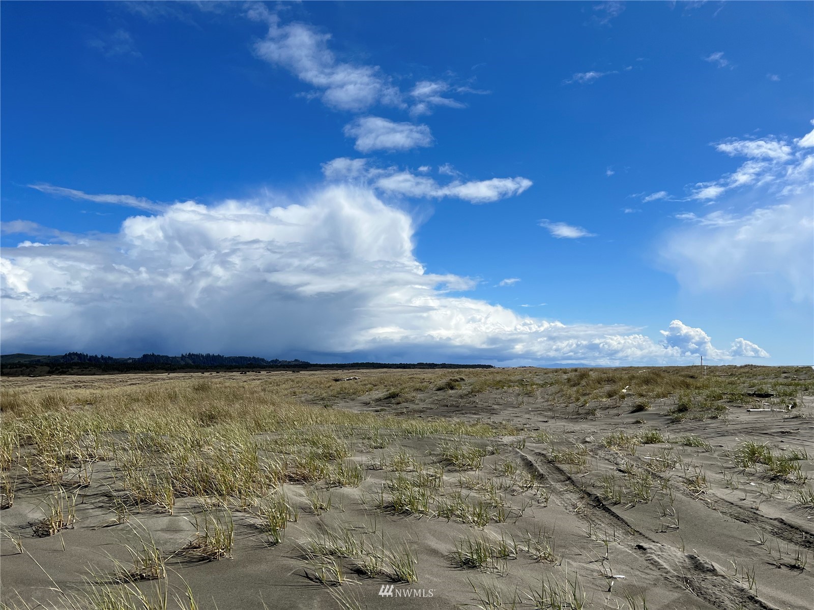 30 South State Route 105 Grayland, WA 98547 - Photo 9 of 27