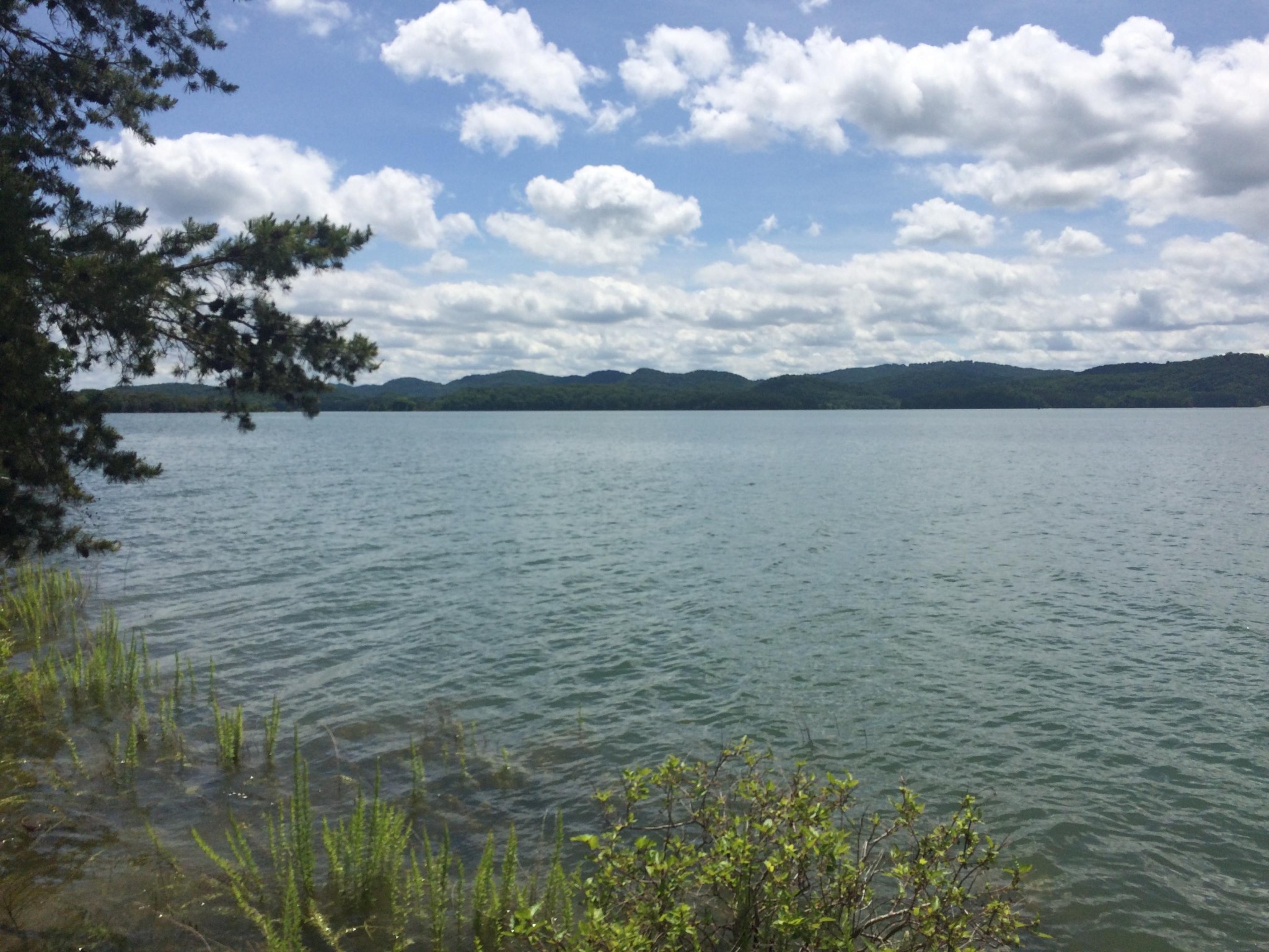 0 Whipperwill Lane Rutledge, TN 37861 - Photo 1 of 11 a view of a lake