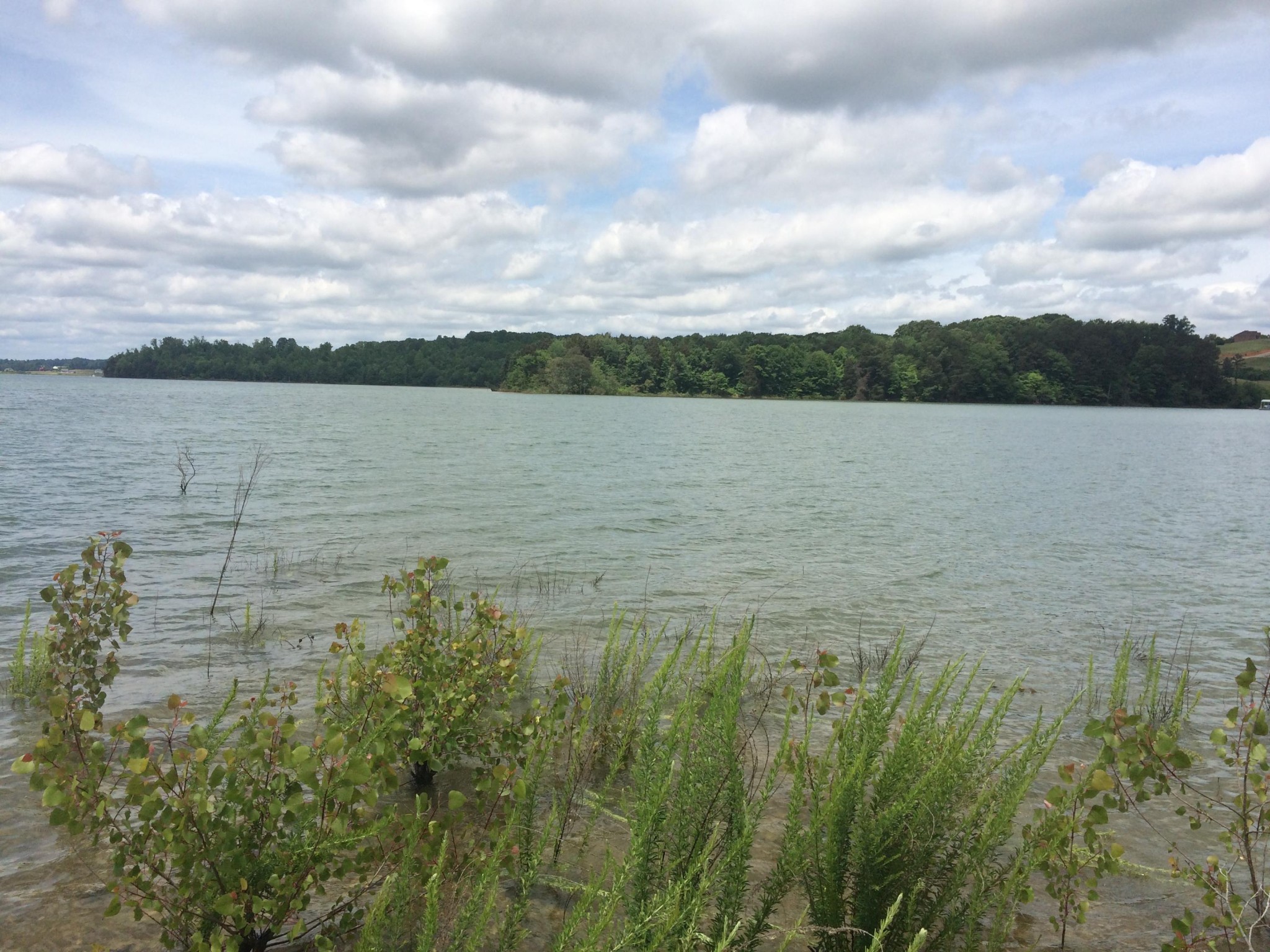 0 Whipperwill Lane Rutledge, TN 37861 - Photo 4 of 11 a view of a lake view