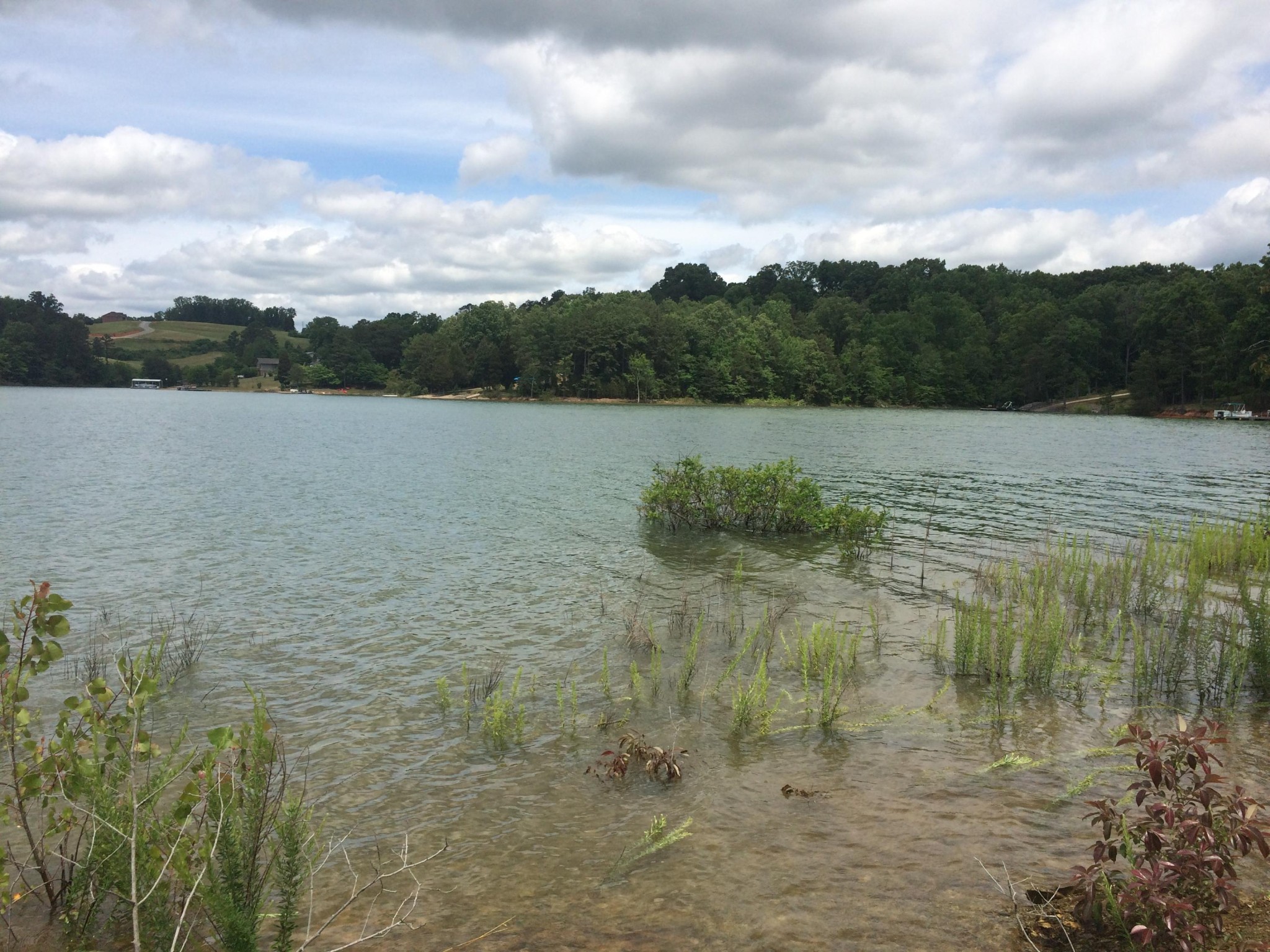 0 Whipperwill Lane Rutledge, TN 37861 - Photo 7 of 11 a view of lake