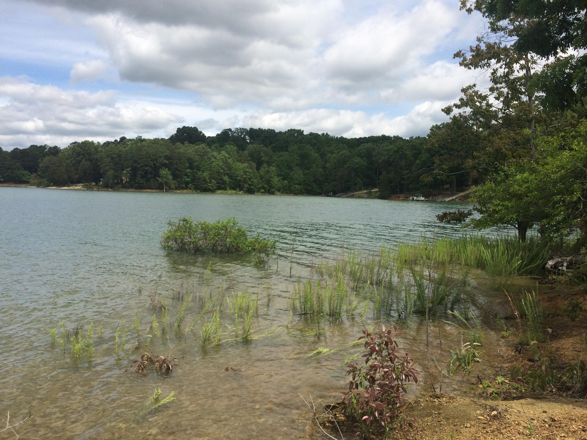 0 Whipperwill Lane Rutledge, TN 37861 - Photo 8 of 11 a view of a lake view