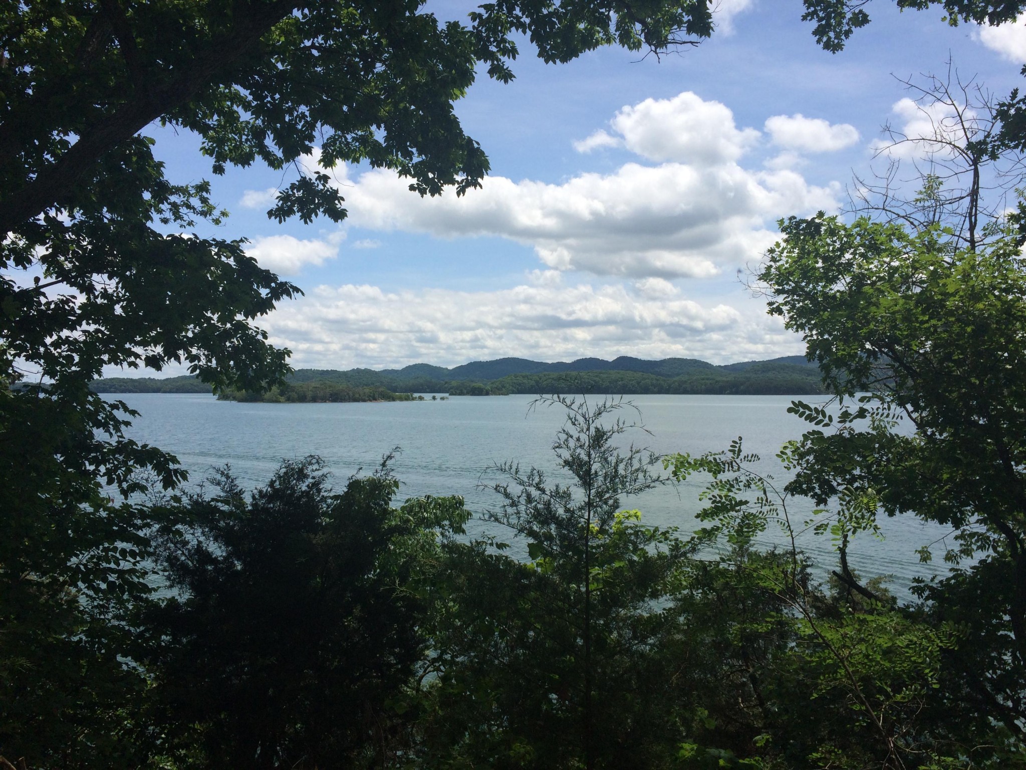 0 Whipperwill Lane Rutledge, TN 37861 - Photo 9 of 11 a view of a lake with outdoor space