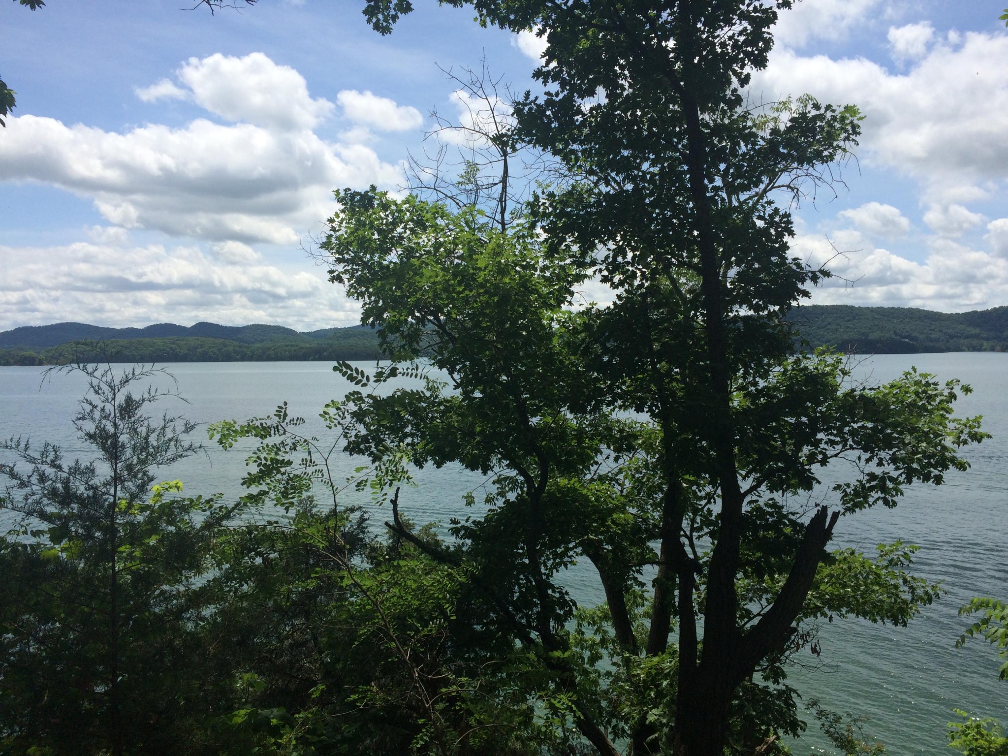 0 Whipperwill Lane Rutledge, TN 37861 - Photo 10 of 11 a view of a lake with lots of trees
