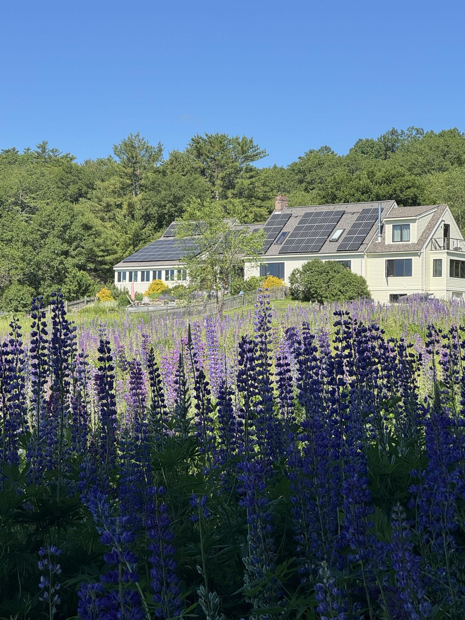 26 Martin Road Alna, ME 04535 - Photo 98 of 101 Lupine House II