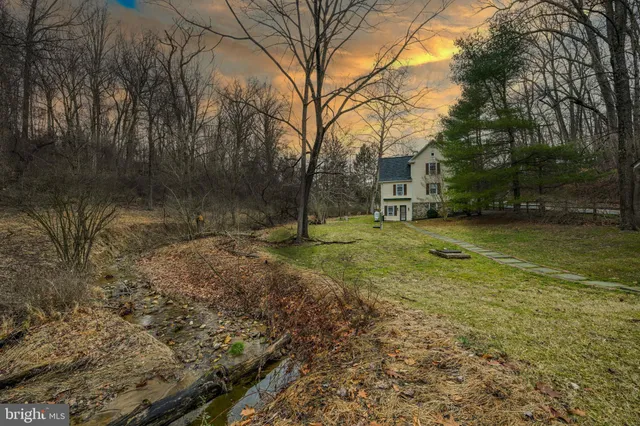 a view of a tree in a yard