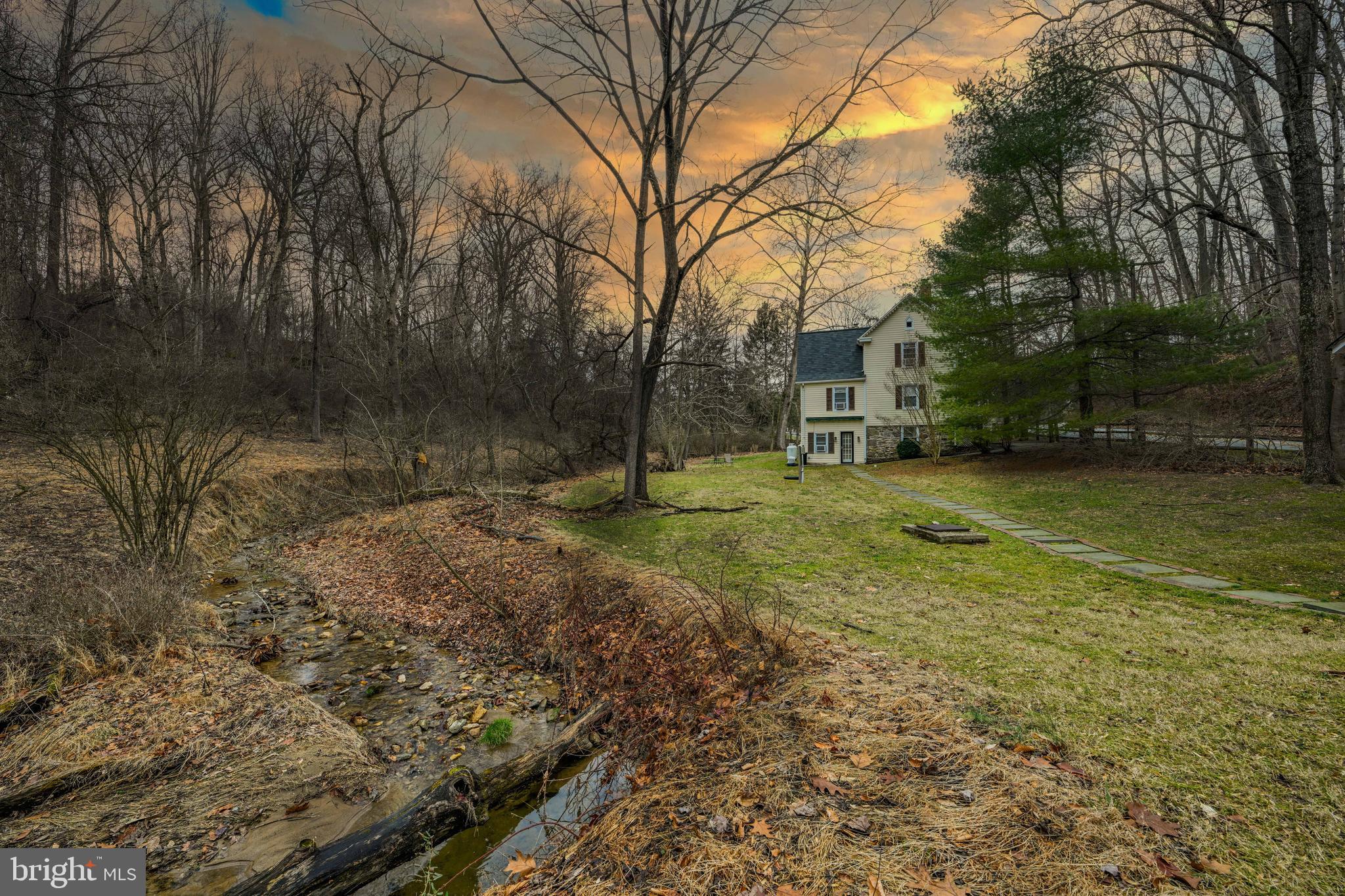 a view of a tree in a yard