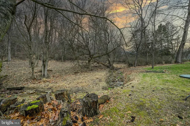 a view of outdoor space with trees