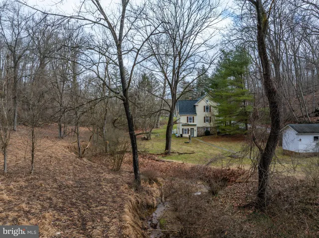 a view of a yard with a tree