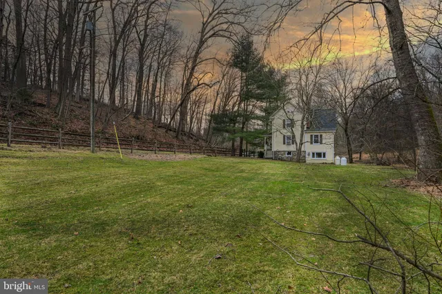 a view of a park with large trees