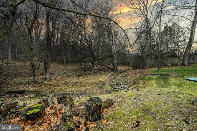 a backyard of a house with lots of plants and trees