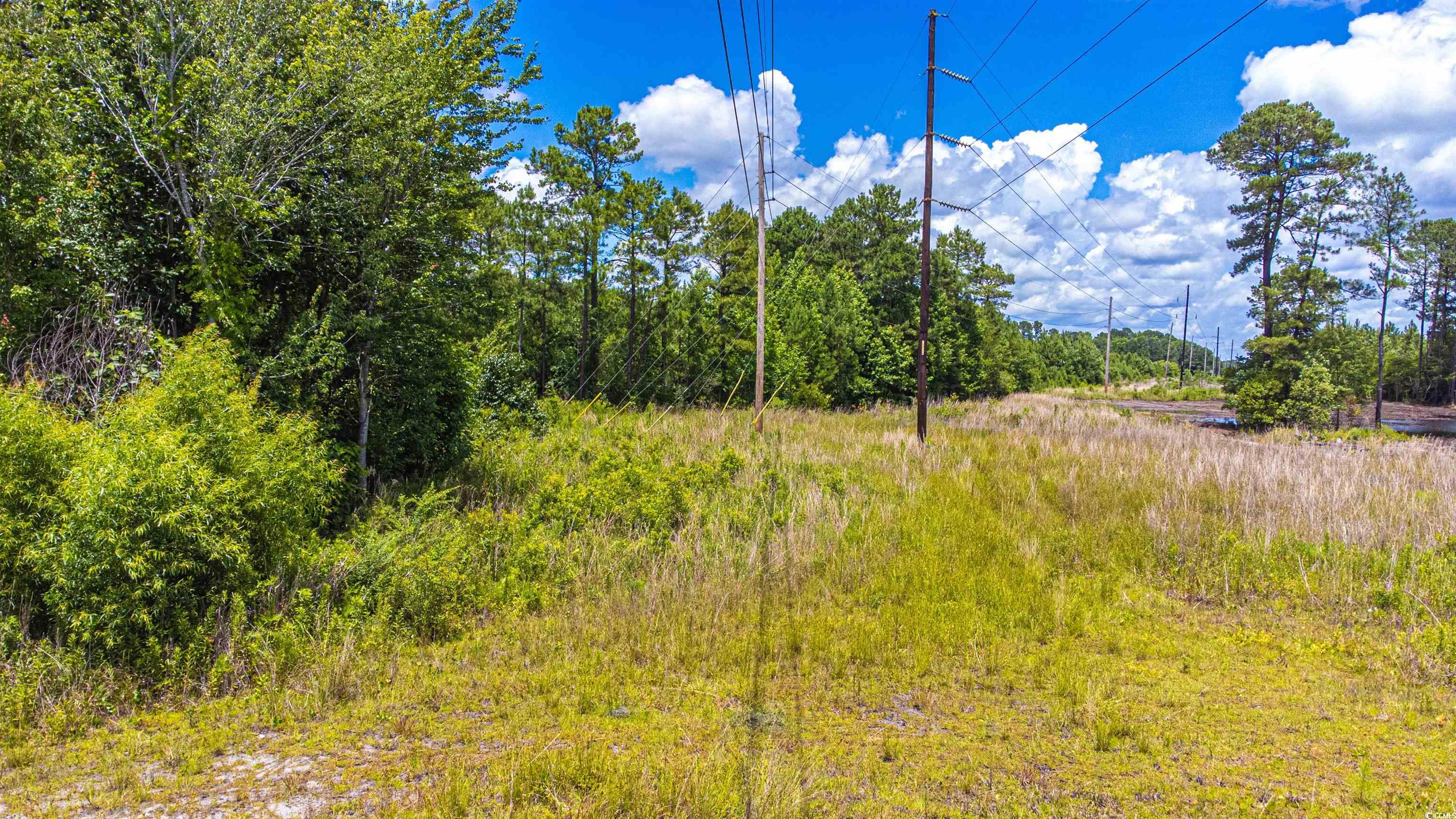 Tbd Mt Pisgah Cemetery Road Conway, SC 29526 - Photo 2 of 3 View of nature