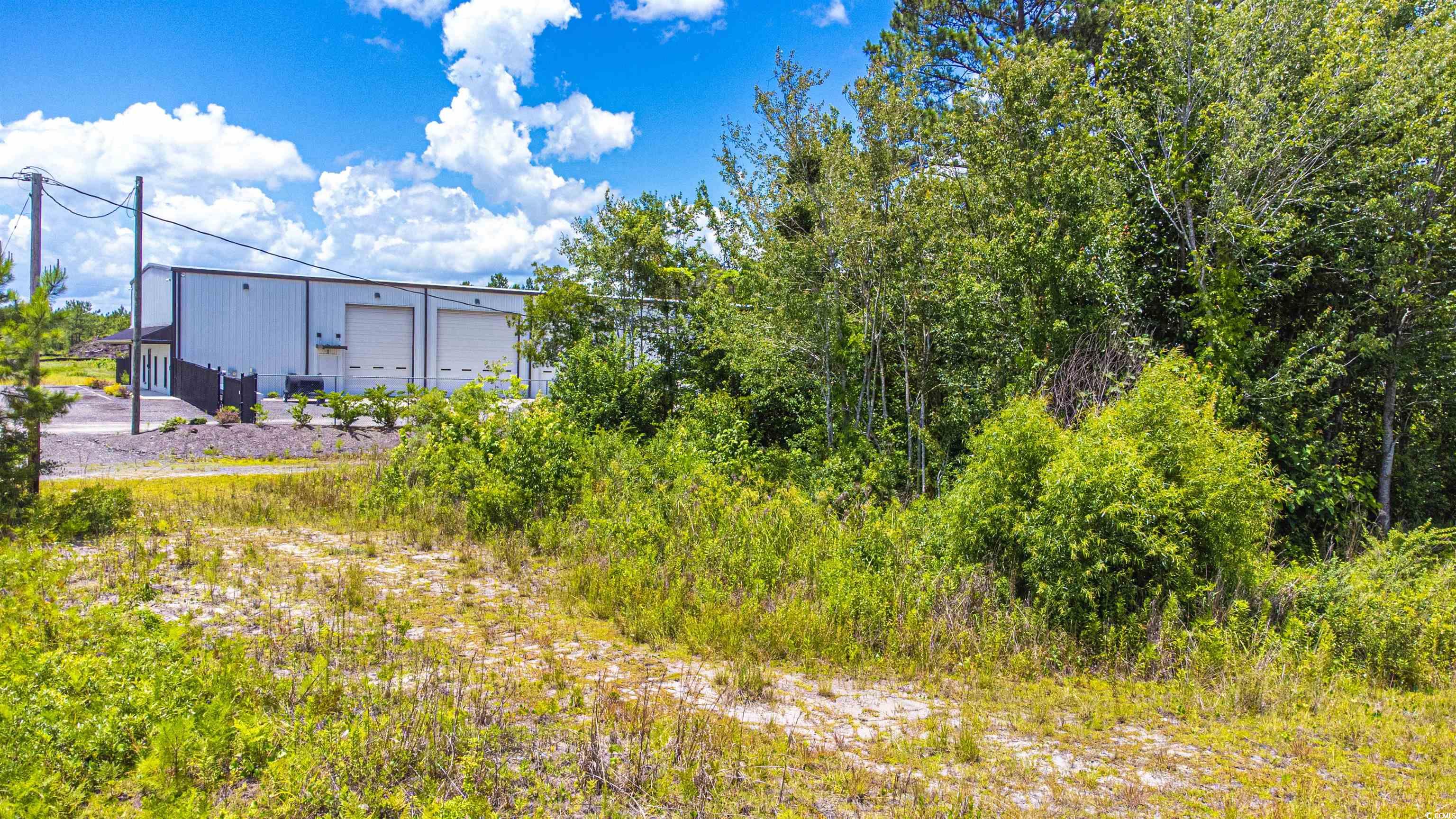 Tbd Mt Pisgah Cemetery Road Conway, SC 29526 - Photo 3 of 3 View of yard with a detached garage