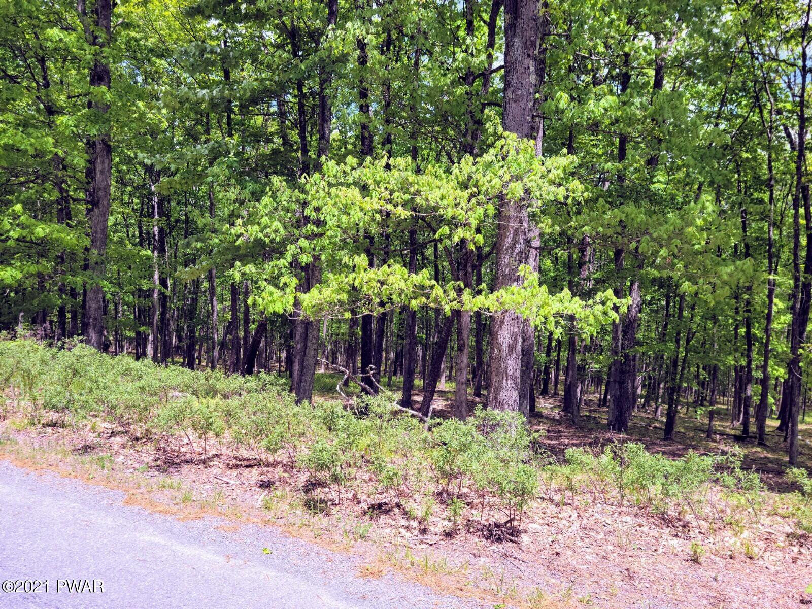Lot 57 Deer Run Road Hawley, PA 18428 - Photo 5 of 6