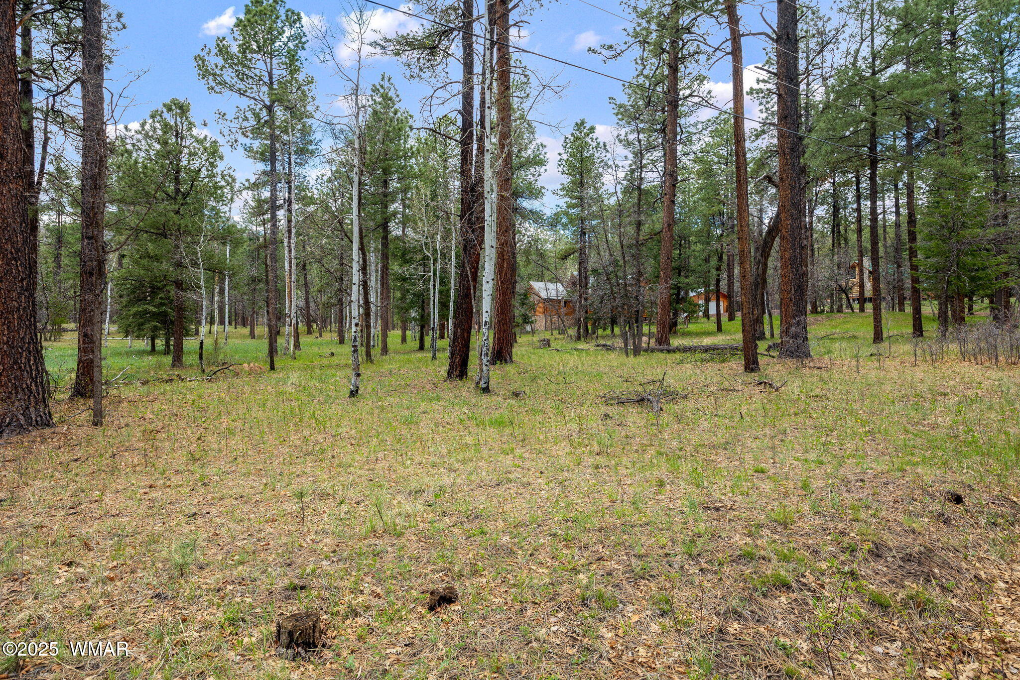 14 Colorados Lane Alpine, AZ 85920 - Photo 11 of 14 16CountyRd2050-AlpineAZ-3