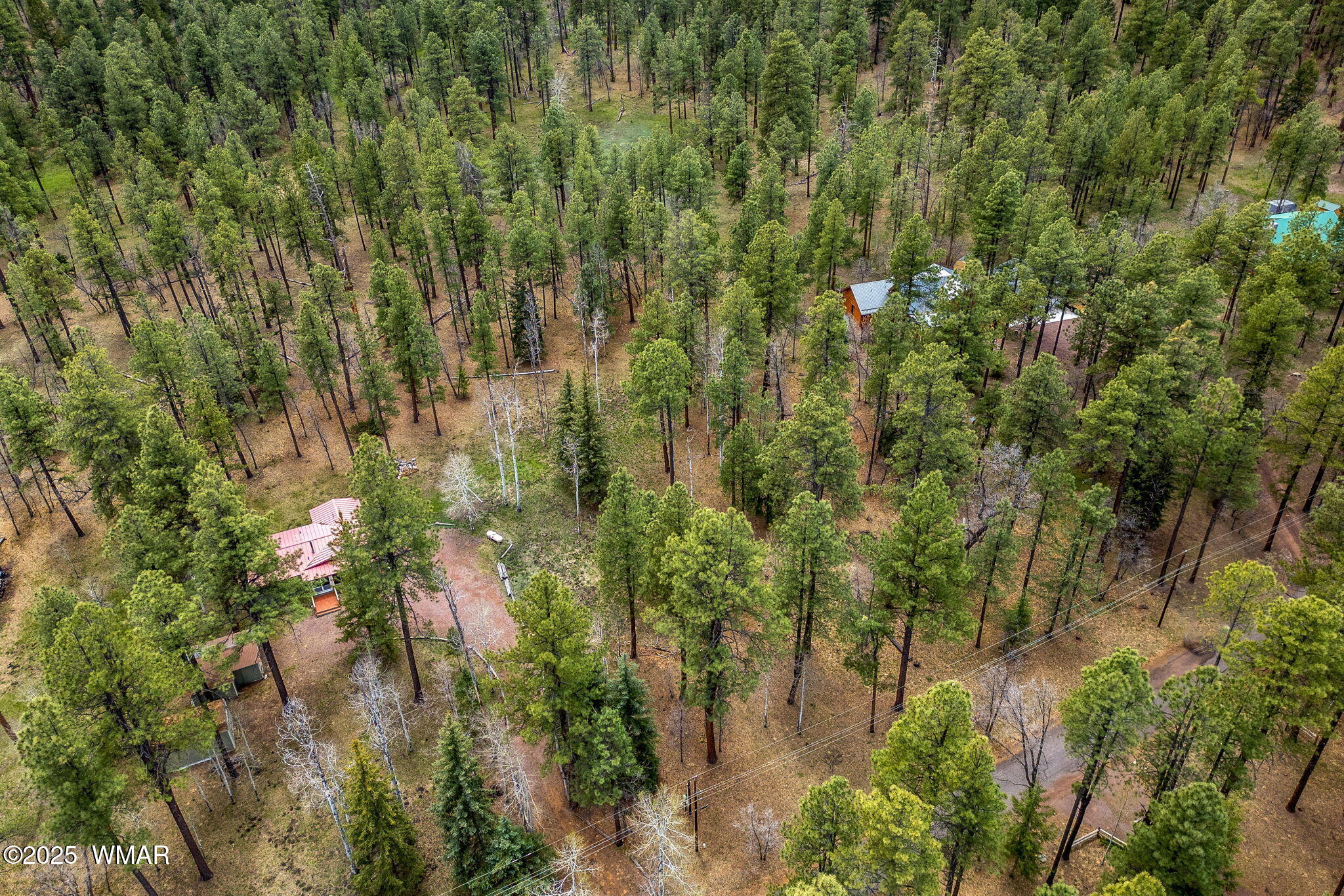 14 Colorados Lane Alpine, AZ 85920 - Photo 14 of 14 16CountyRd2050-AlpineAZ-4