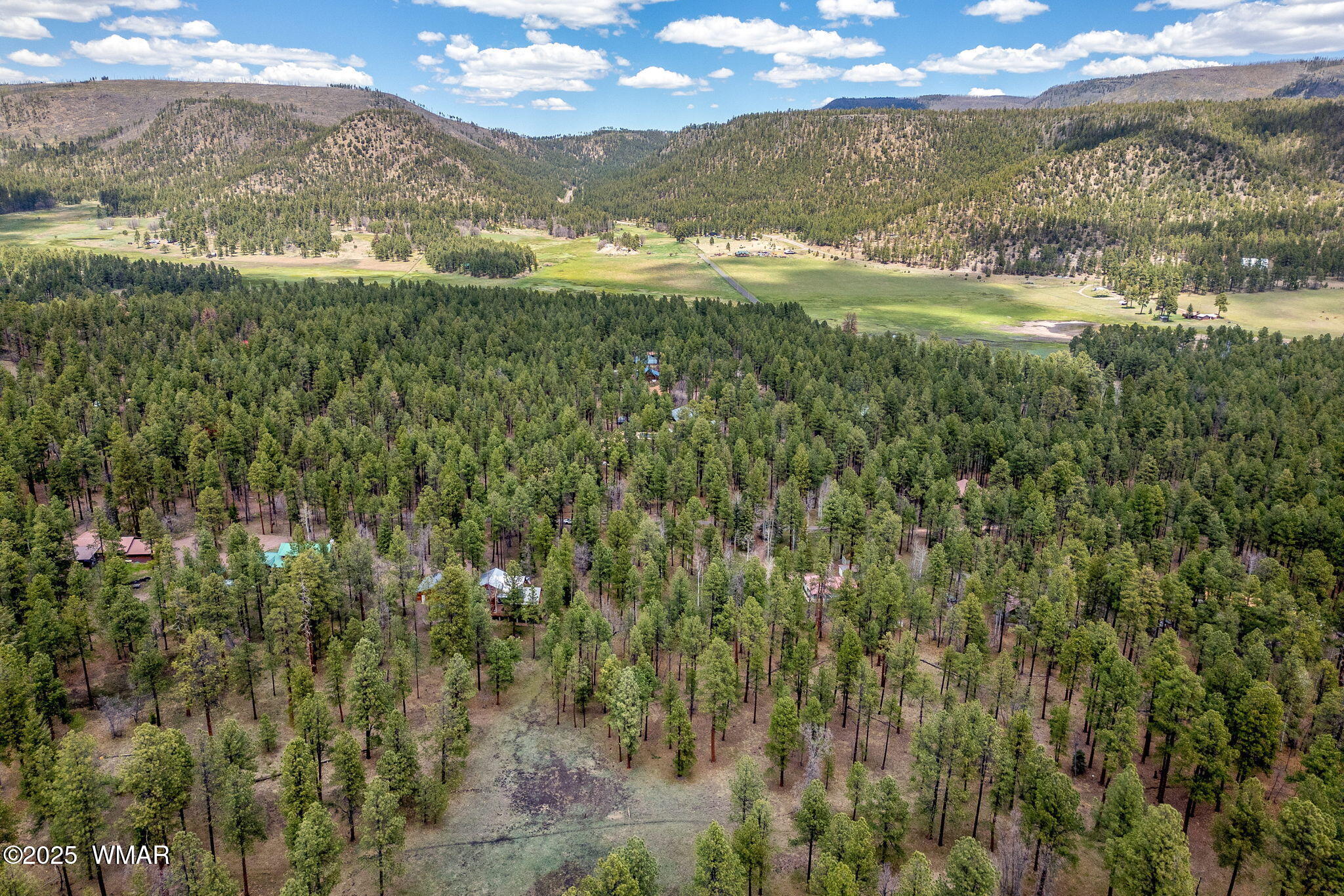 14 Colorados Lane Alpine, AZ 85920 - Photo 2 of 14 16CountyRd2050-AlpineAZ-13