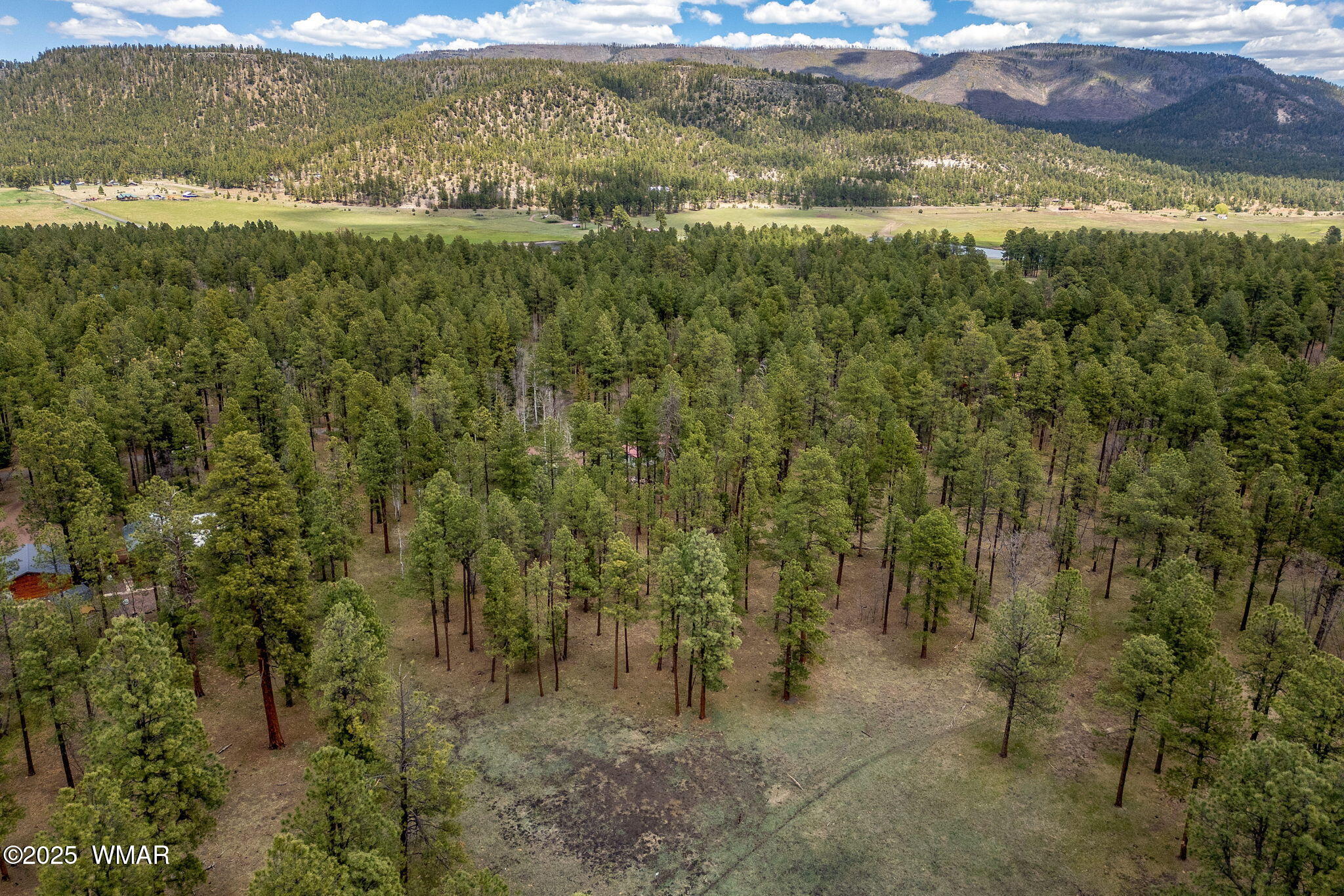14 Colorados Lane Alpine, AZ 85920 - Photo 3 of 14 16CountyRd2050-AlpineAZ-15