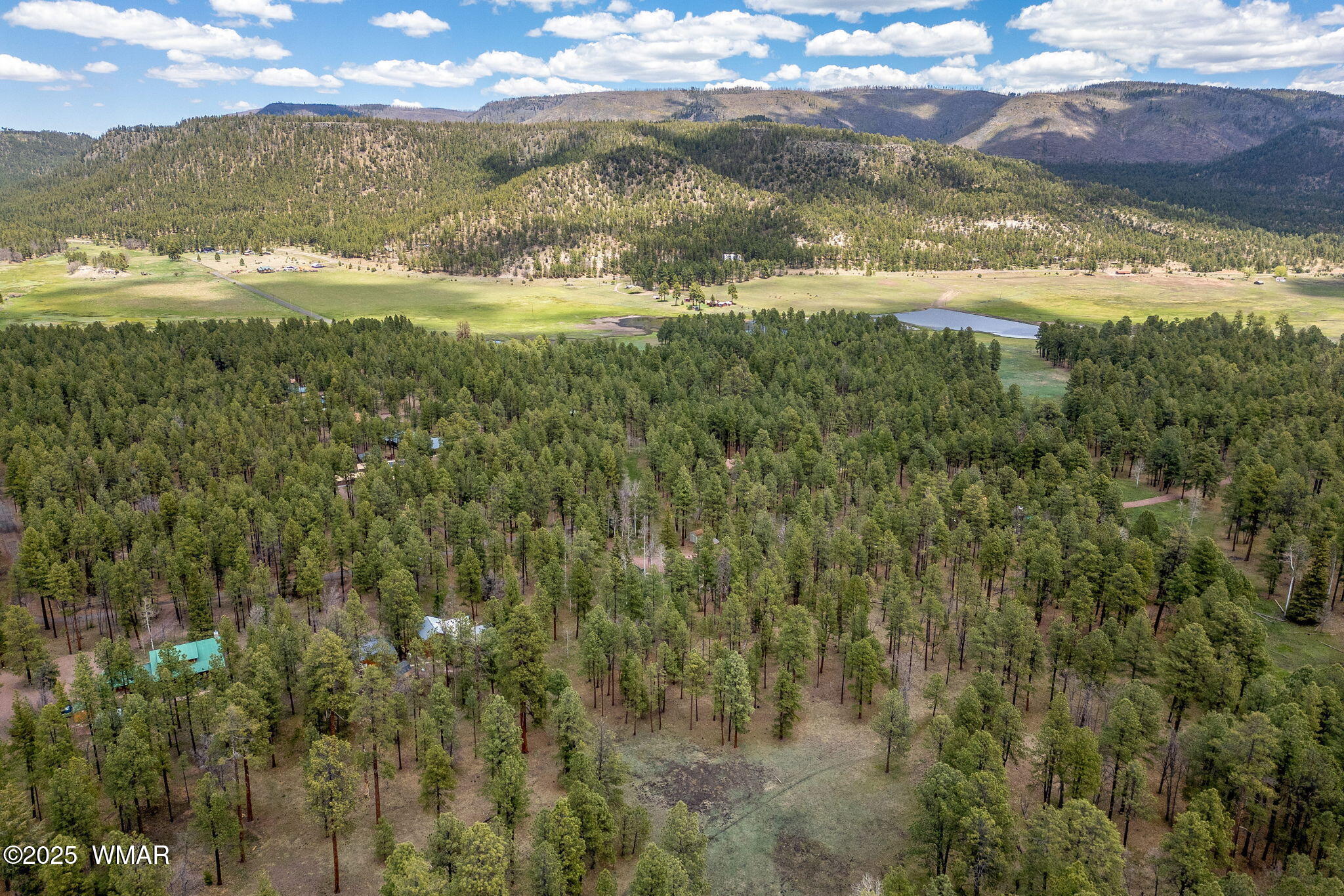 14 Colorados Lane Alpine, AZ 85920 - Photo 4 of 14 16CountyRd2050-AlpineAZ-12
