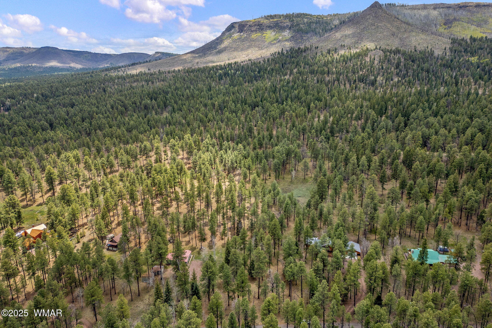 14 Colorados Lane Alpine, AZ 85920 - Photo 6 of 14 16CountyRd2050-AlpineAZ-9