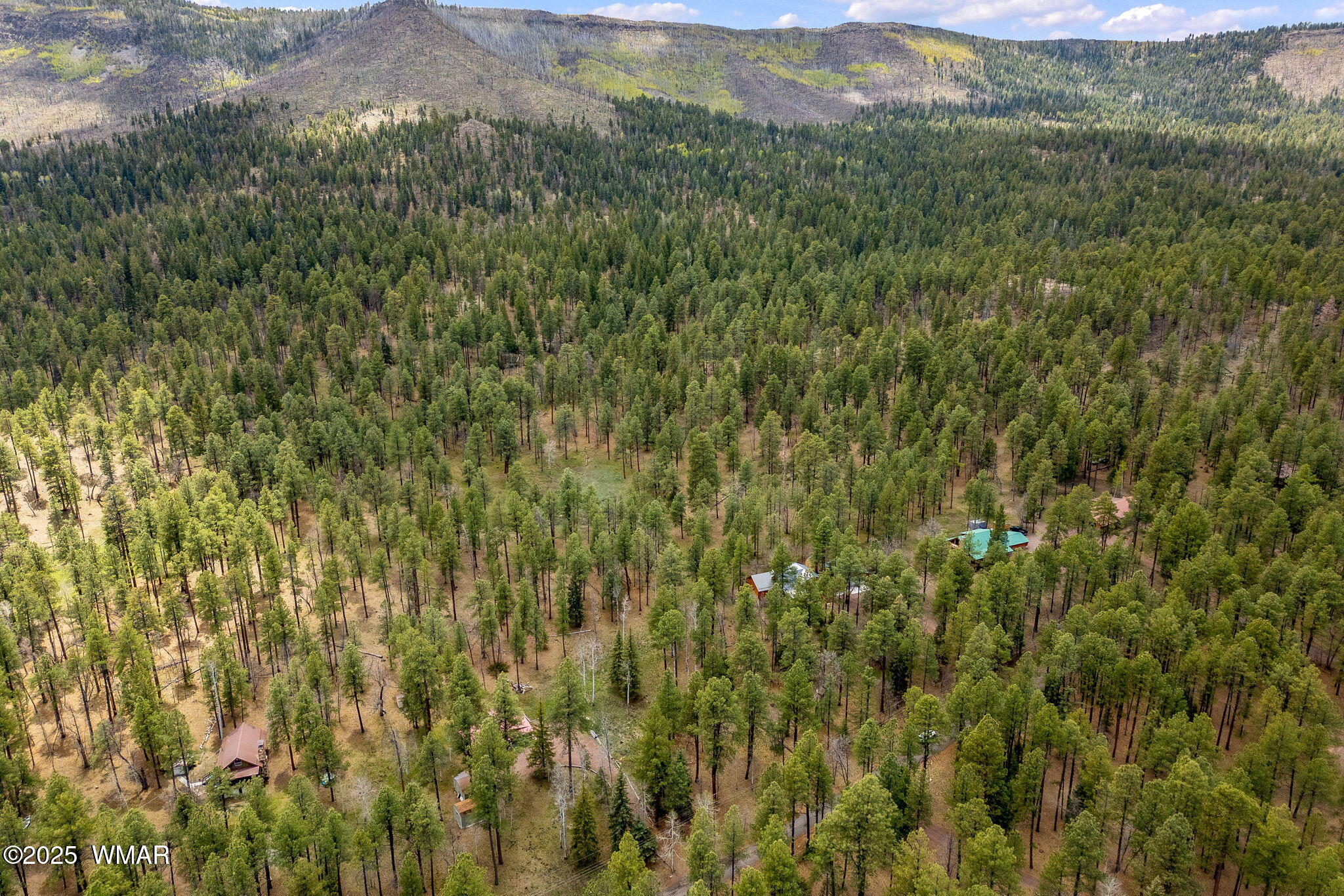 14 Colorados Lane Alpine, AZ 85920 - Photo 7 of 14 16CountyRd2050-AlpineAZ-10