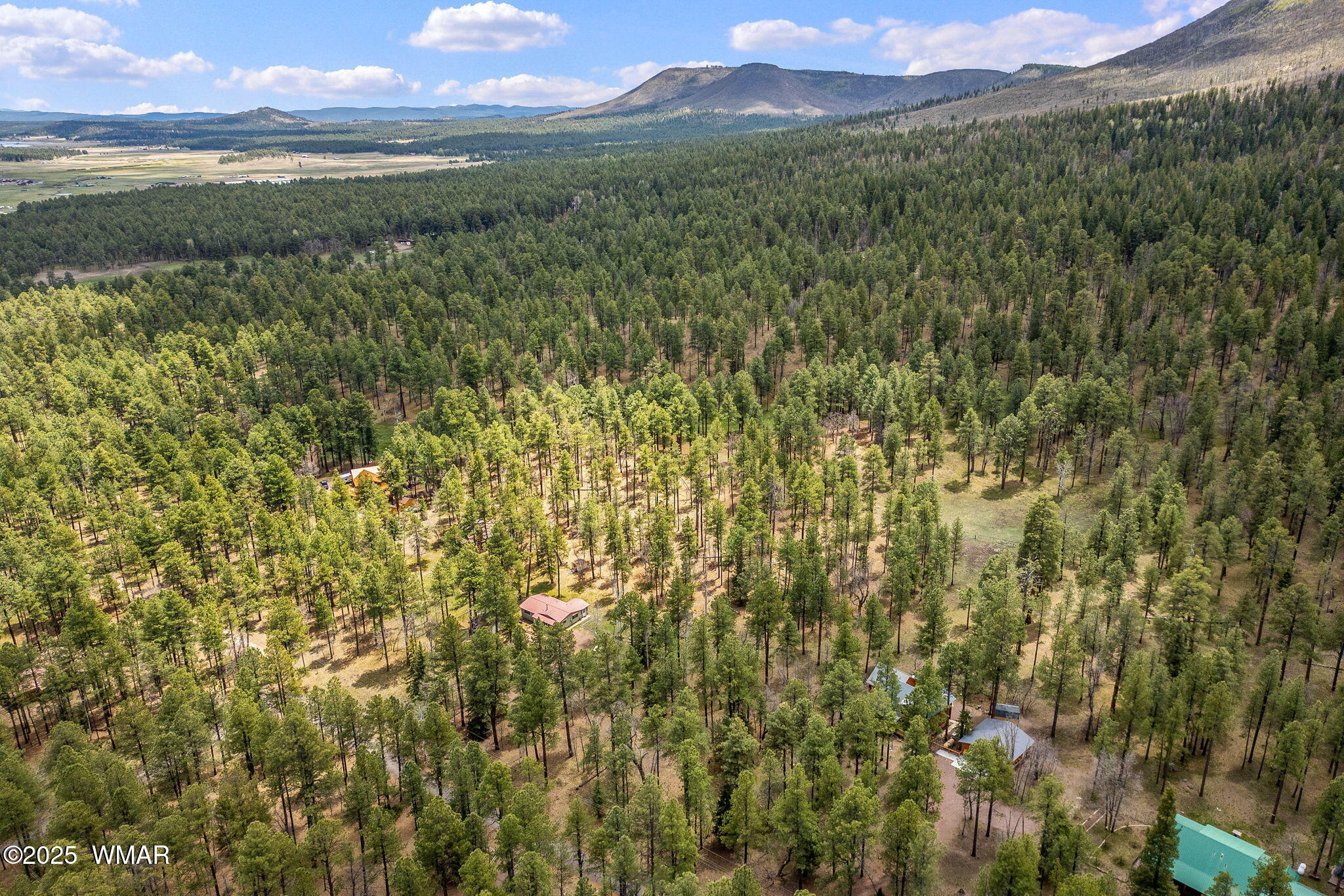 14 Colorados Lane Alpine, AZ 85920 - Photo 8 of 14 16CountyRd2050-AlpineAZ-8