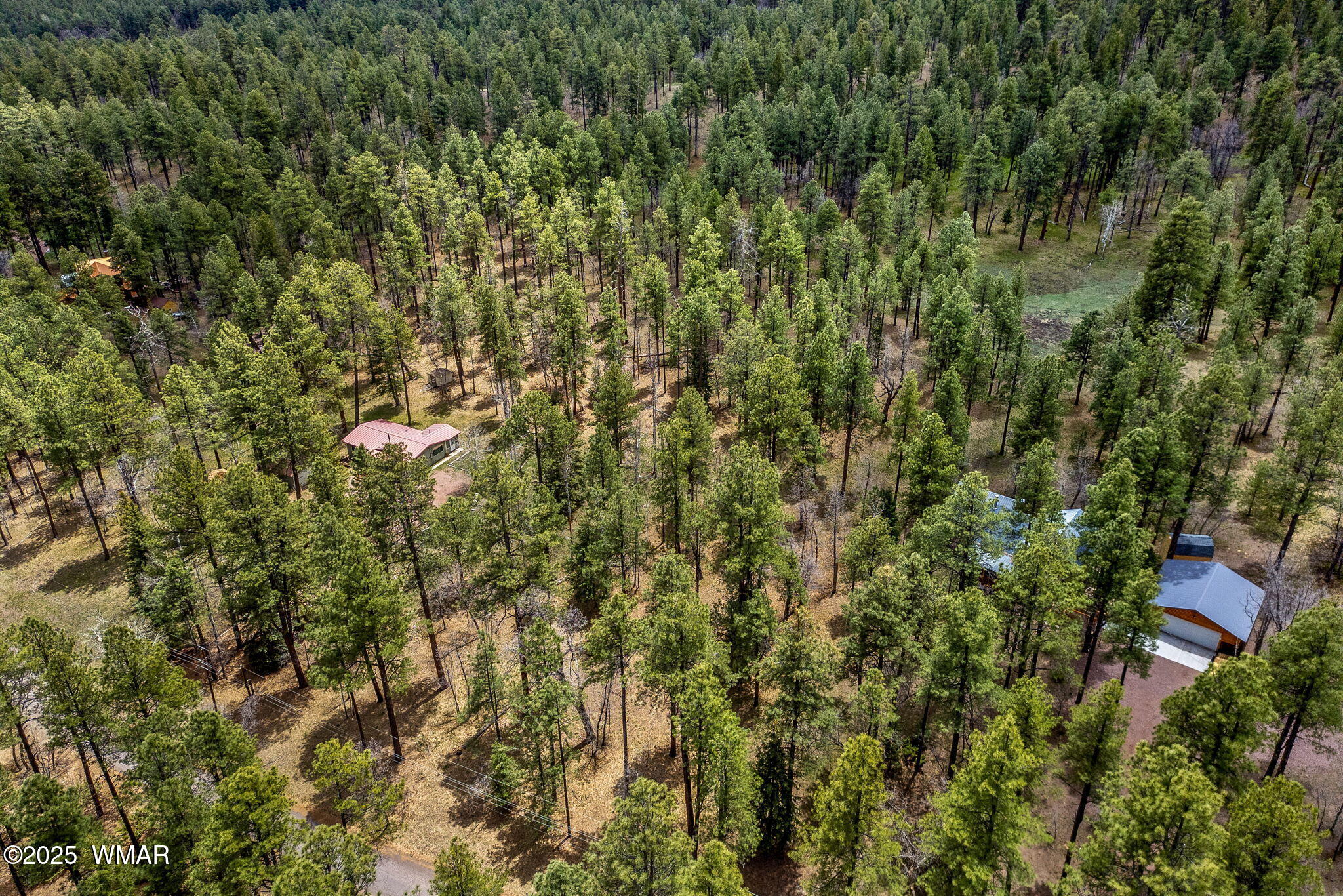 14 Colorados Lane Alpine, AZ 85920 - Photo 9 of 14 16CountyRd2050-AlpineAZ-6