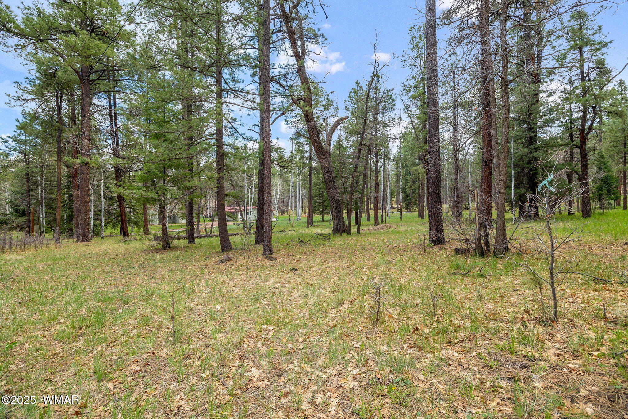 14 Colorados Lane Alpine, AZ 85920 - Photo 10 of 14 16CountyRd2050-AlpineAZ-1