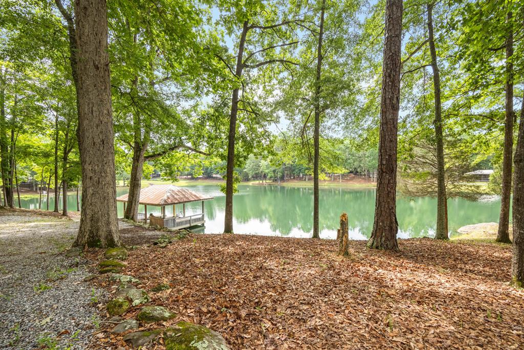11045 Warm Springs Road Midland, GA 31820 - Photo 4 of 46