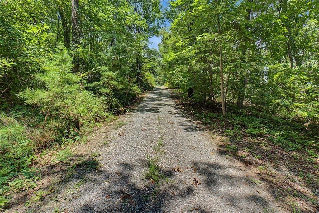 276 Wilderness Camp Road Southeast White, GA 30184 - Photo 2 of 26 Gallery Image 2