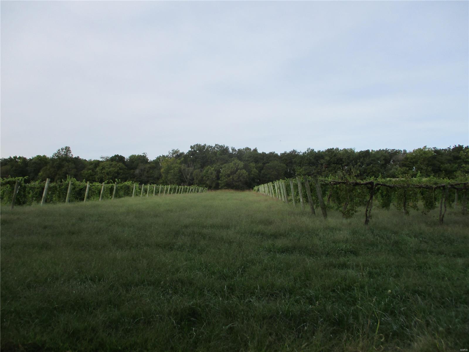 7489 East Grant Road Walnut Hill, IL 62893 - Photo 4 of 18 Gallery Image 4
