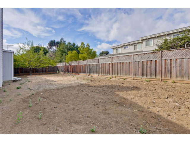 22343 McClellan Road Cupertino, CA 95014 - Photo 14 of 15 a view of a backyard