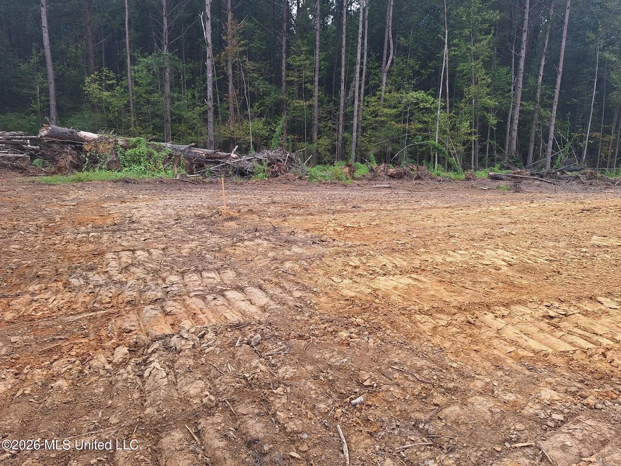 709 Old Pinola Braxton Road Braxton, MS 39044 - Photo 5 of 14 717f2d9e-3ab7-4b8b-8b60-b378d9f8036a