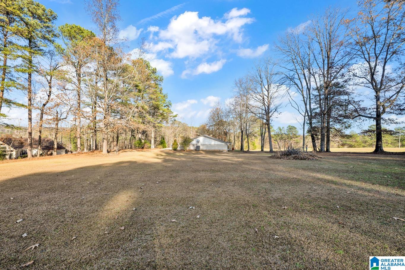1163 Cox Cove Road Hayden, AL 35079 - Photo 40 of 48