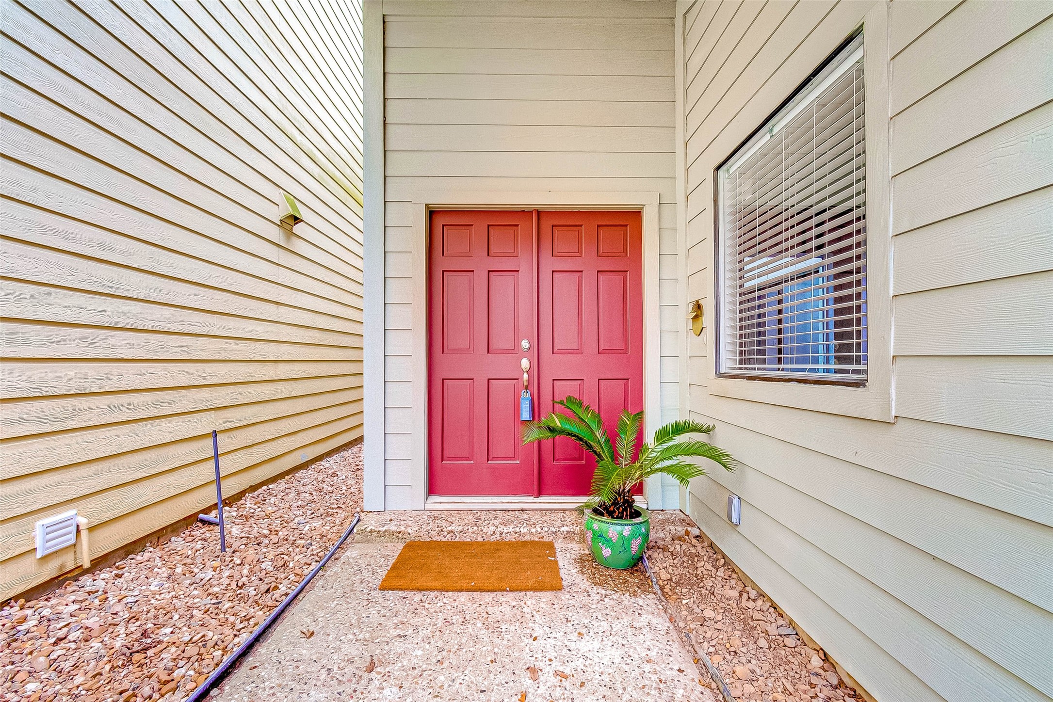 395 Rancho Bauer Drive Houston, TX 77079 - Photo 7 of 50 a potted plant sitting in front of a window