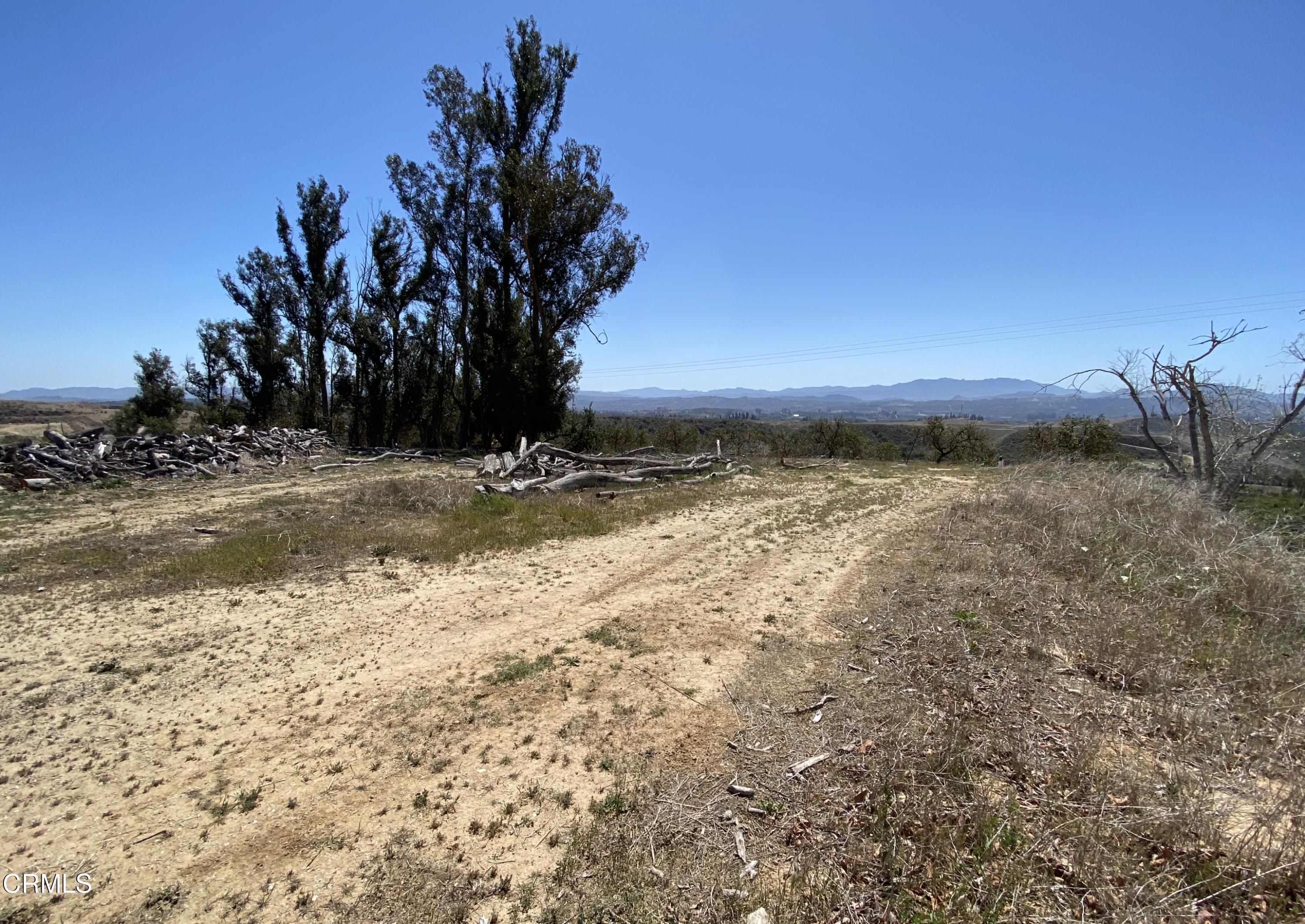 10165 Stockton Road Moorpark, CA 93021 - Photo 18 of 22 a view of a yard